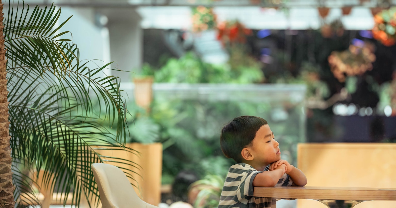 2024-08-apl-ms200-cover-image