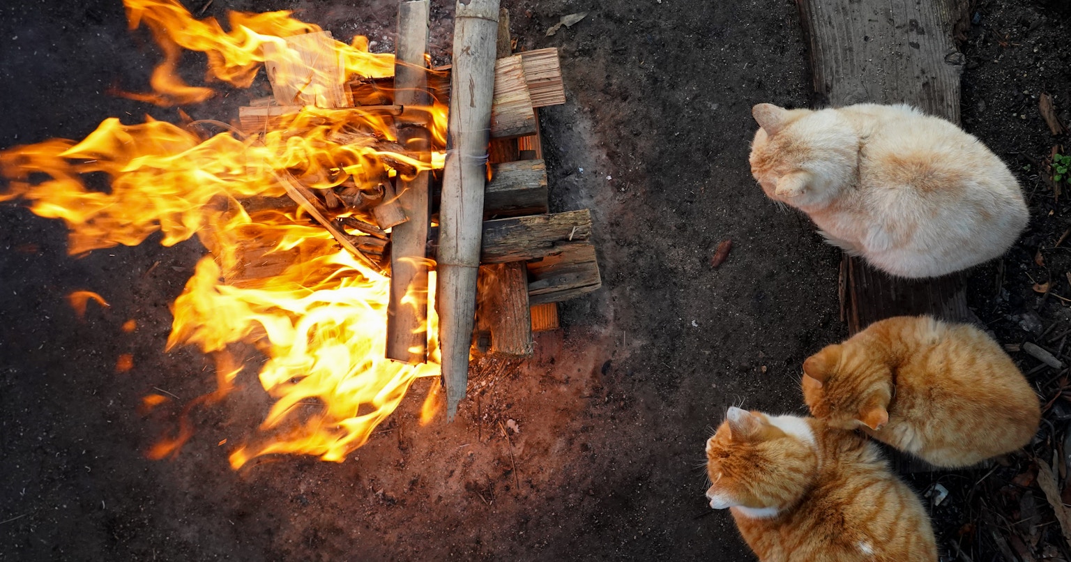 2024-03-yoshihiko-sato-cover-image