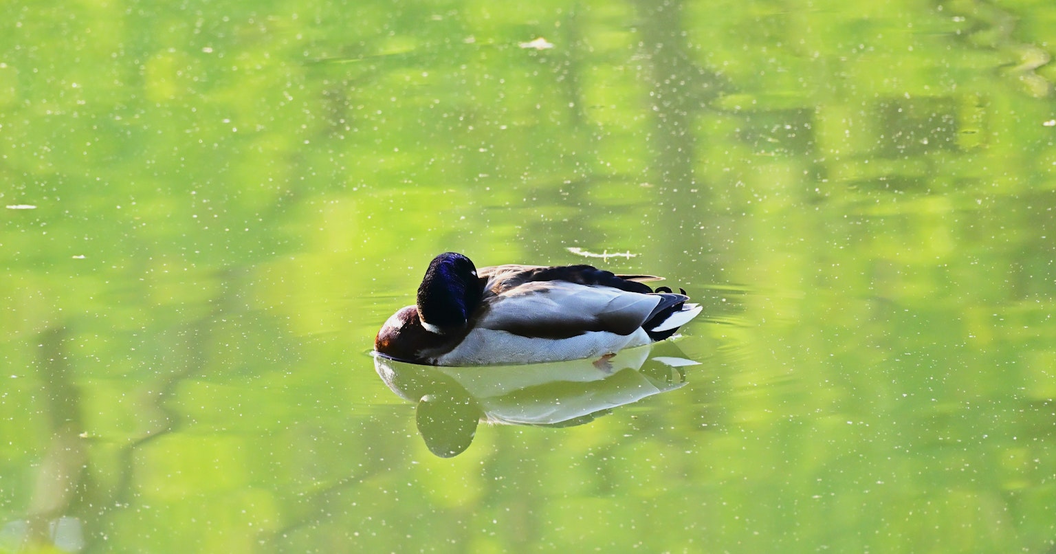 2025-05-photo-poster-project-in-sapporo-june-cover-image