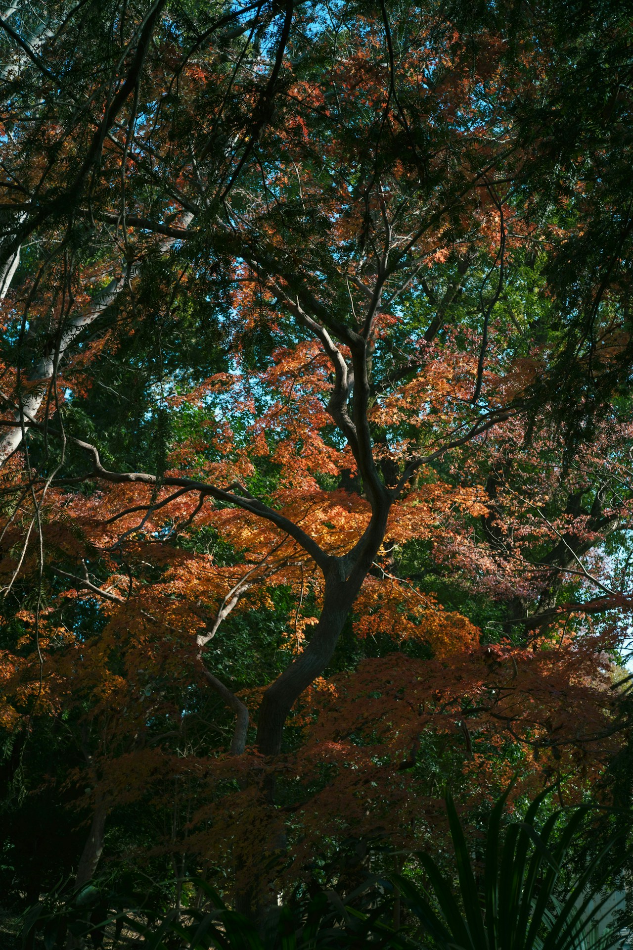 Photo by TEN