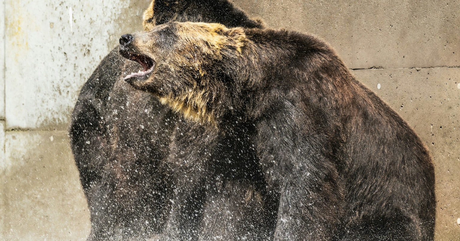 2024-09-summer-report-cover-image