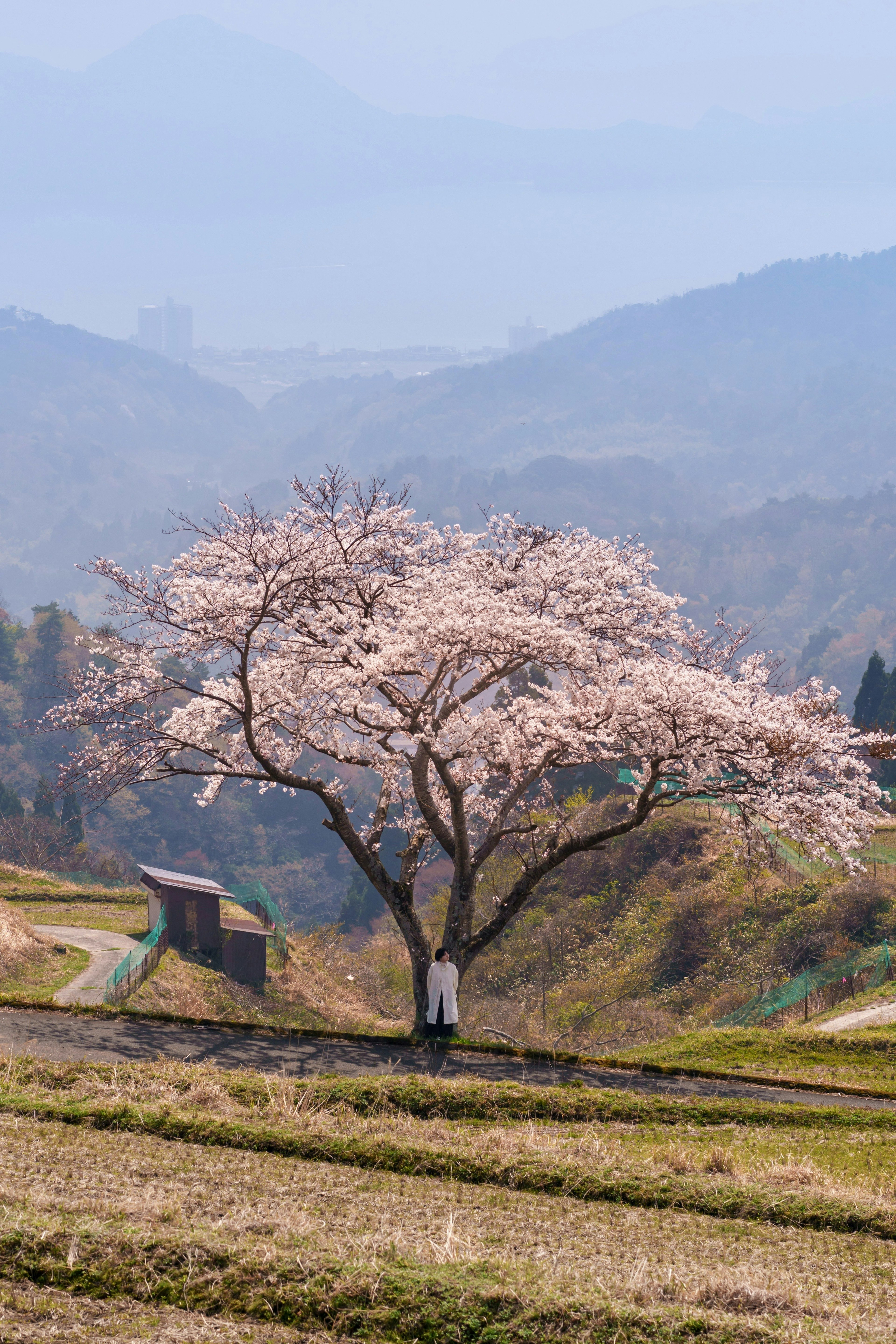 2025-06-kinensatsuei-by-bump-of-chicken-image-7