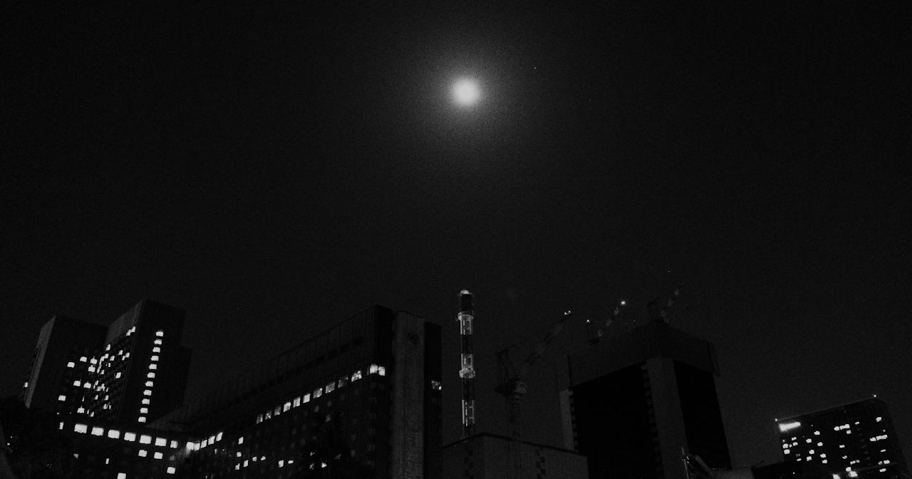 Image by Koji Takasaki