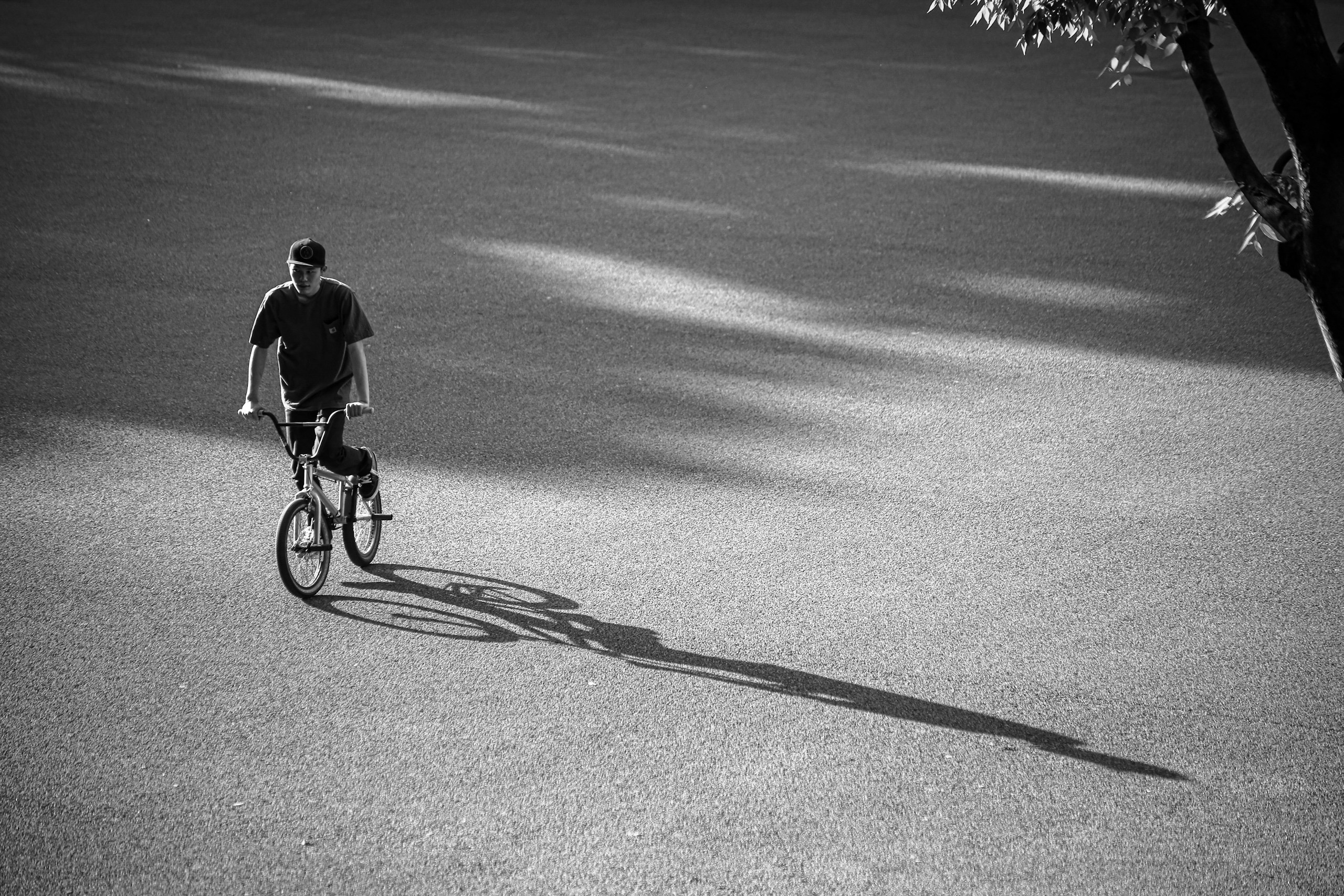 2026-01-shadow-image-4