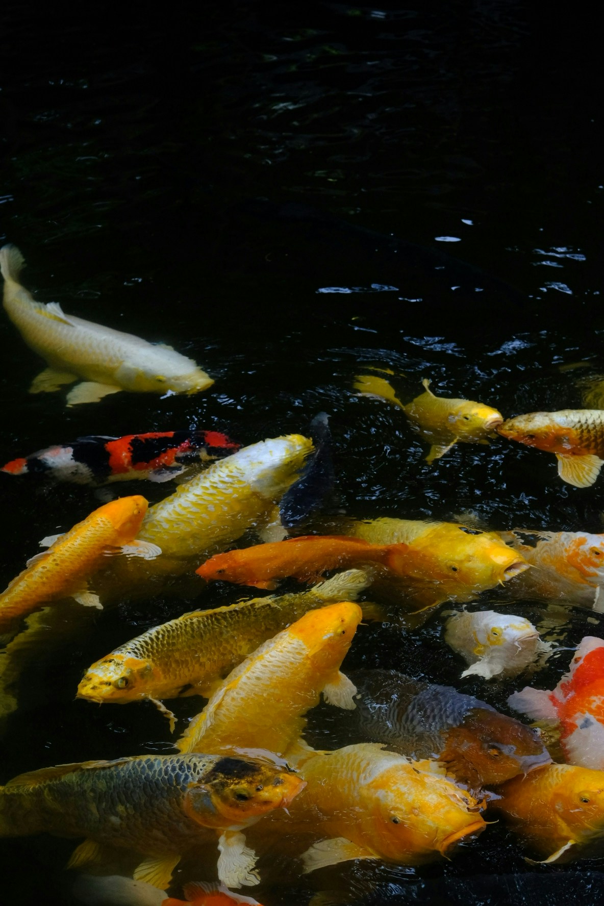 2026-07-find-new-pieces-fujifilm-image-10