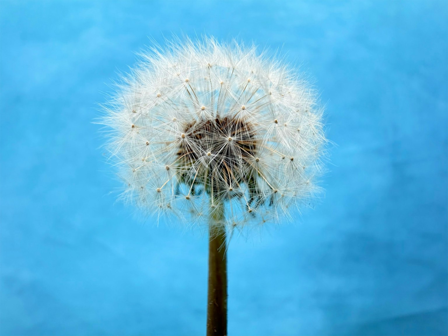 2025-09-iphone-17-for-creators-image-8