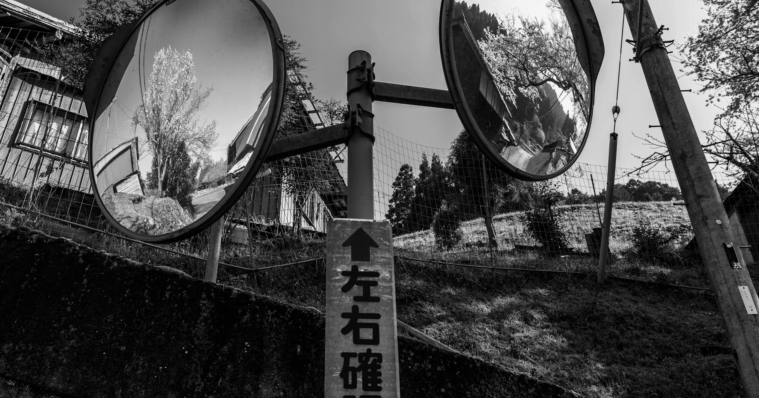 #viewpoint | 改變視角,改變世界的看法 | Focus #452