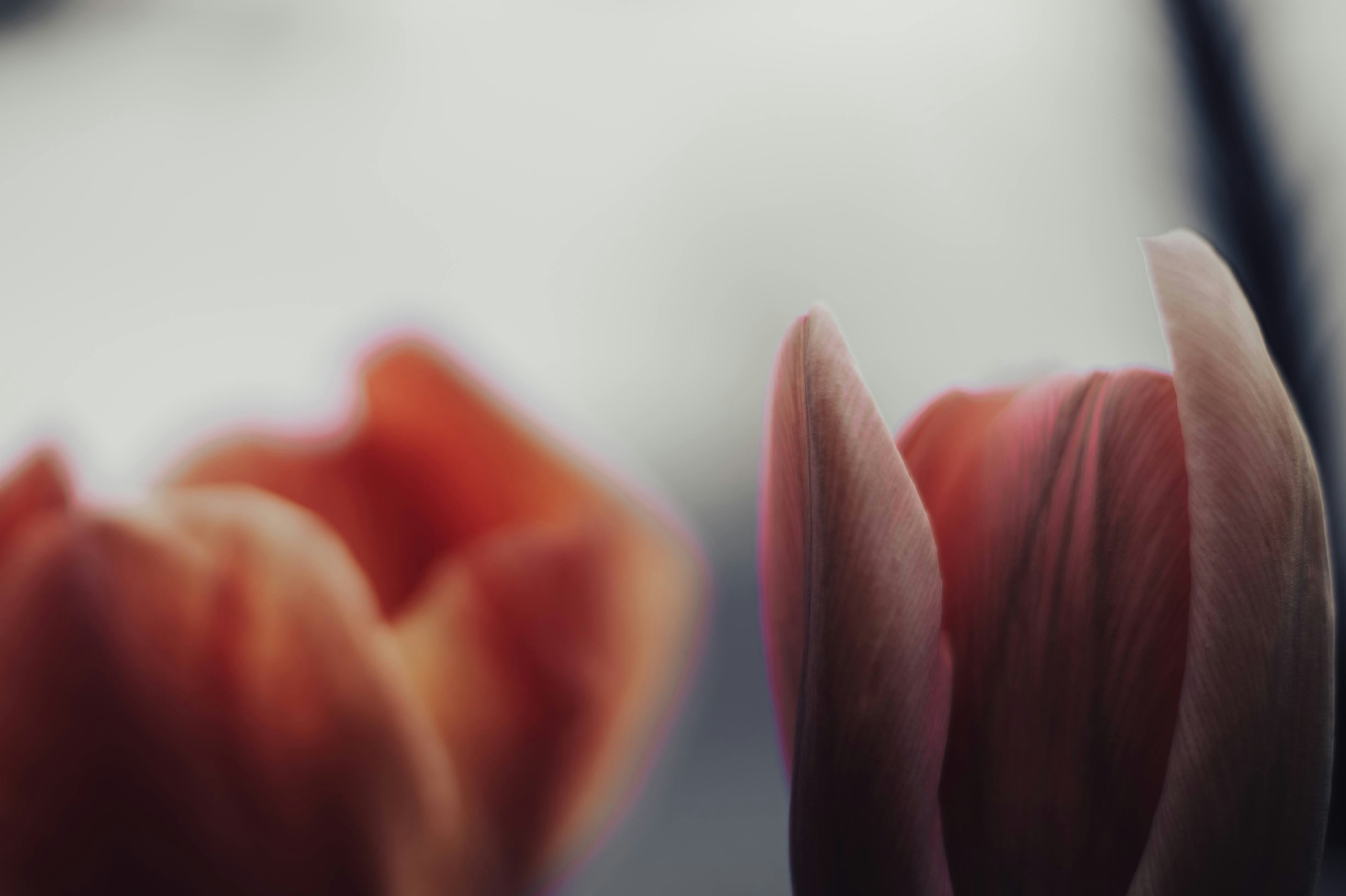 2025-12-choosing-your-camera-cover-image