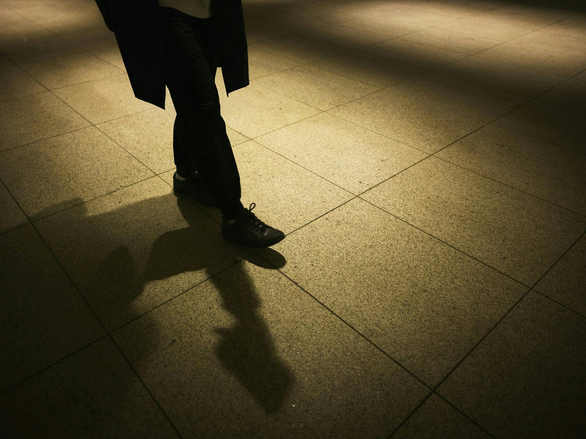 2026-01-shadow-image-5