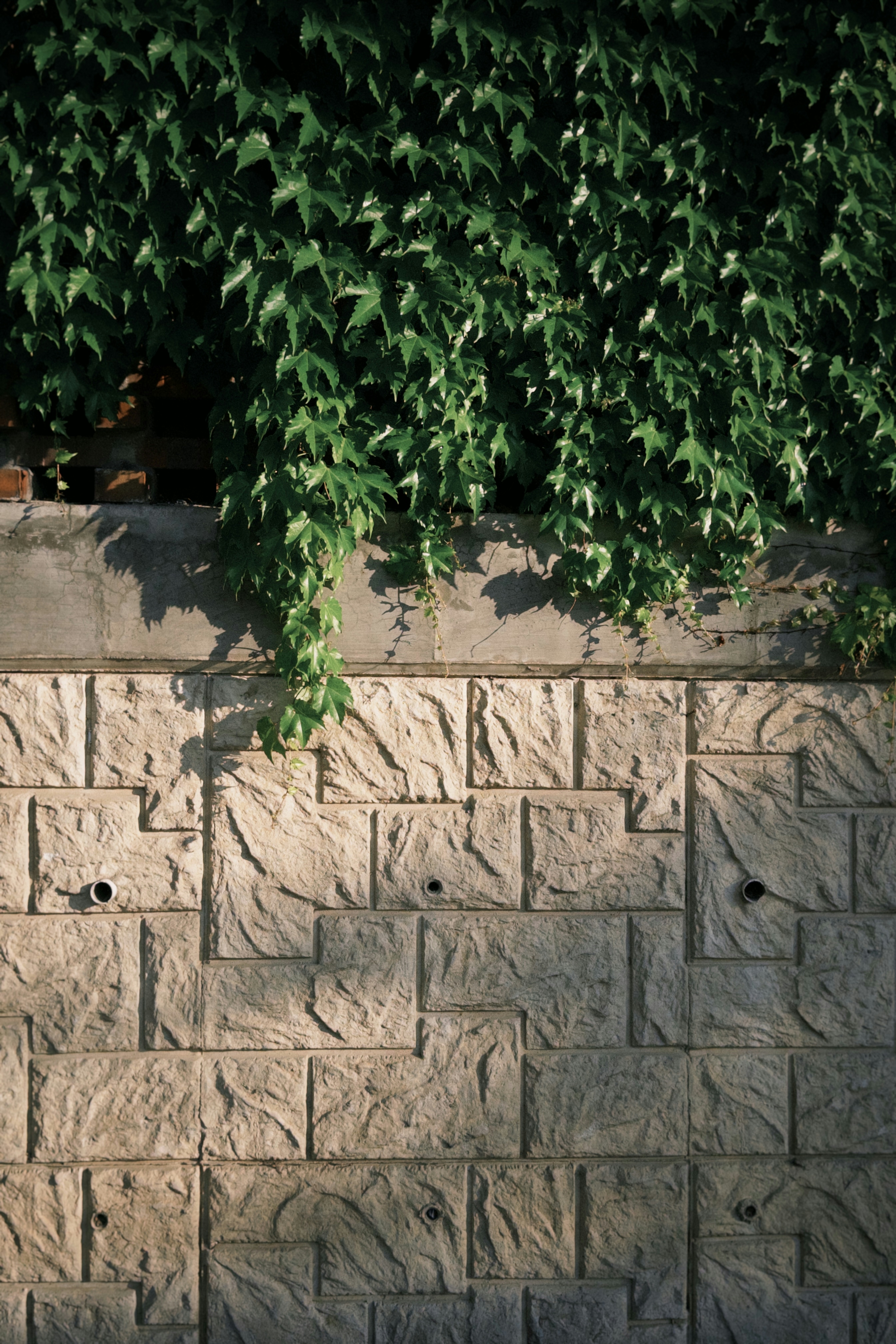 2026-06-find-new-pieces-neighborhood-image-24