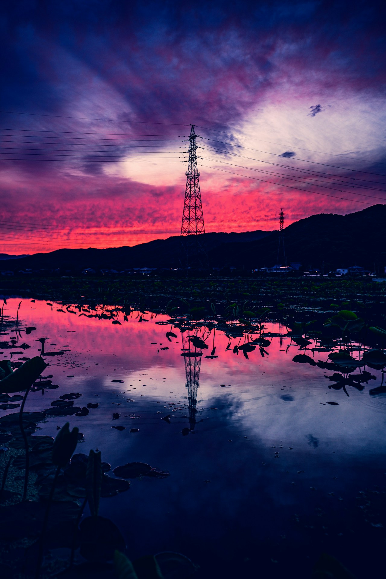 Photo by FLYA