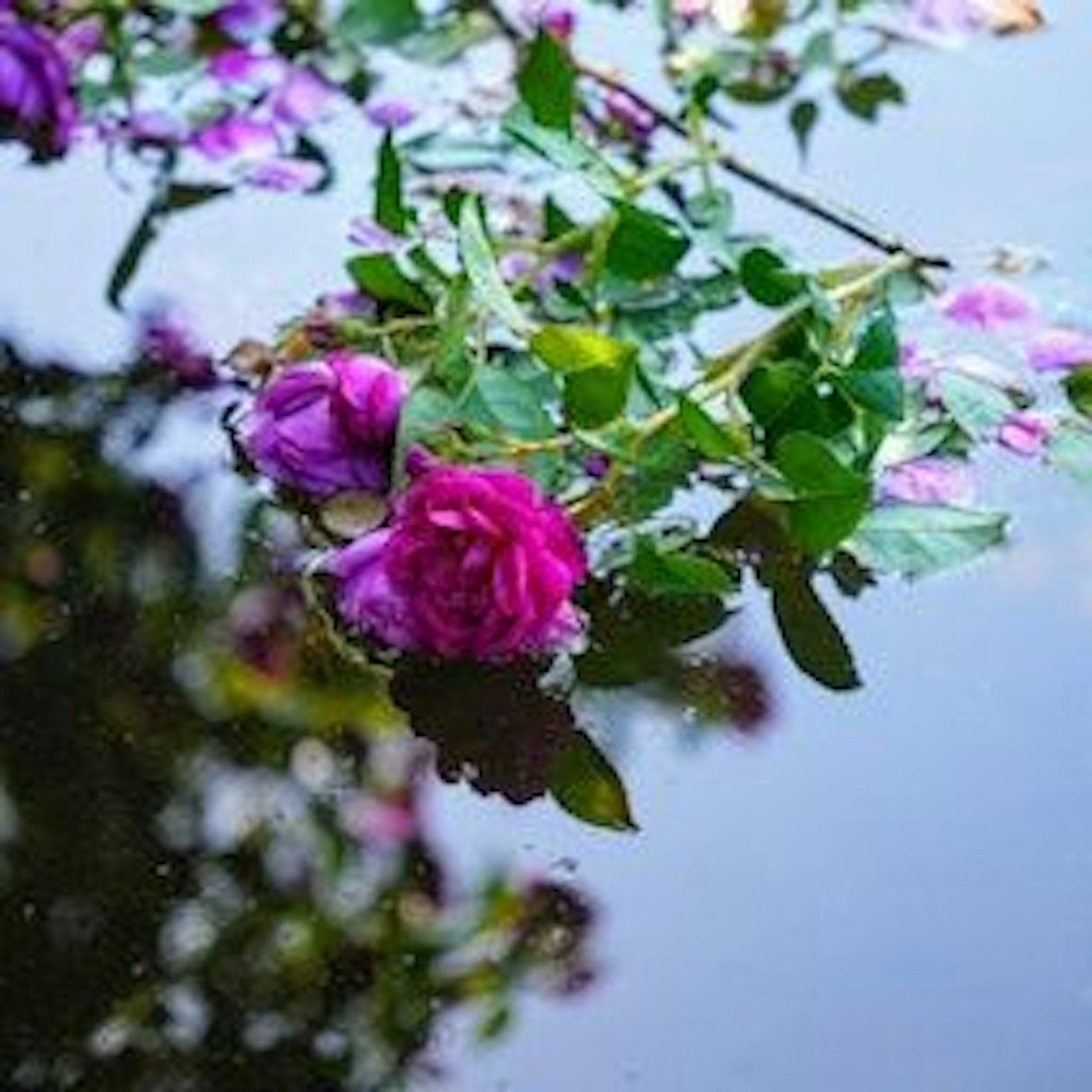 information-24-item-image