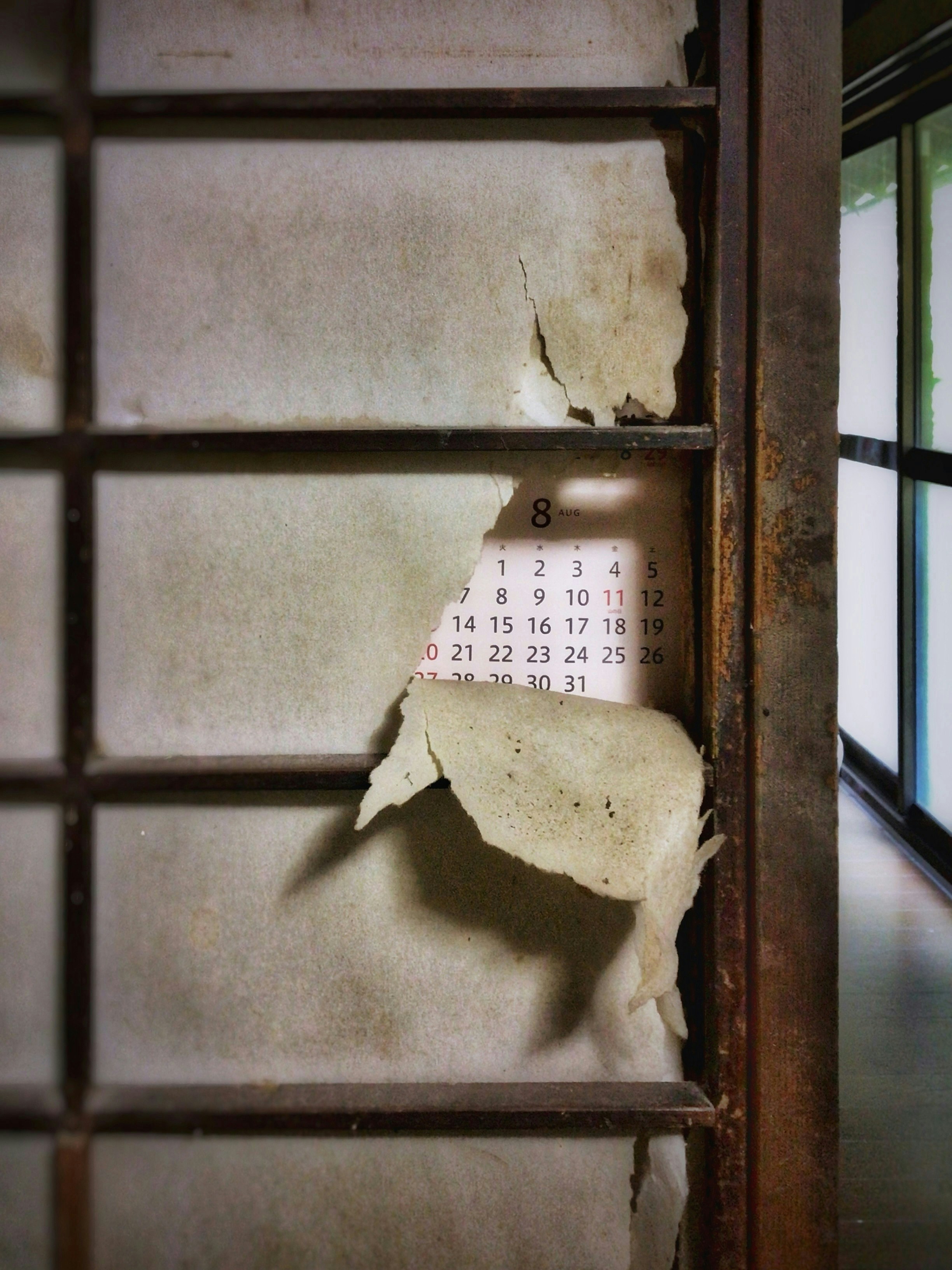 Photo by ユウ3850