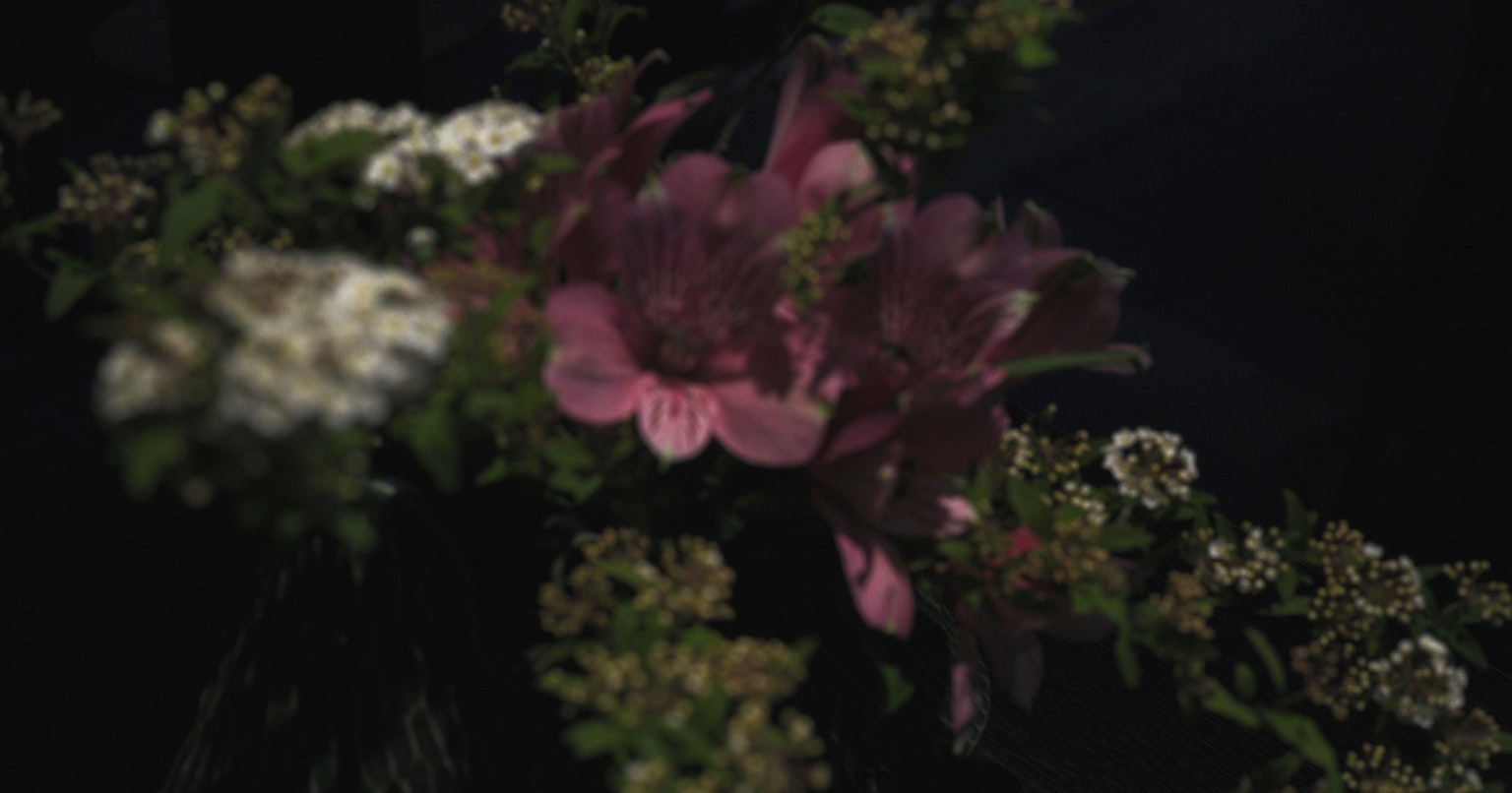 2024-04-nikon-new-camera-cover-image