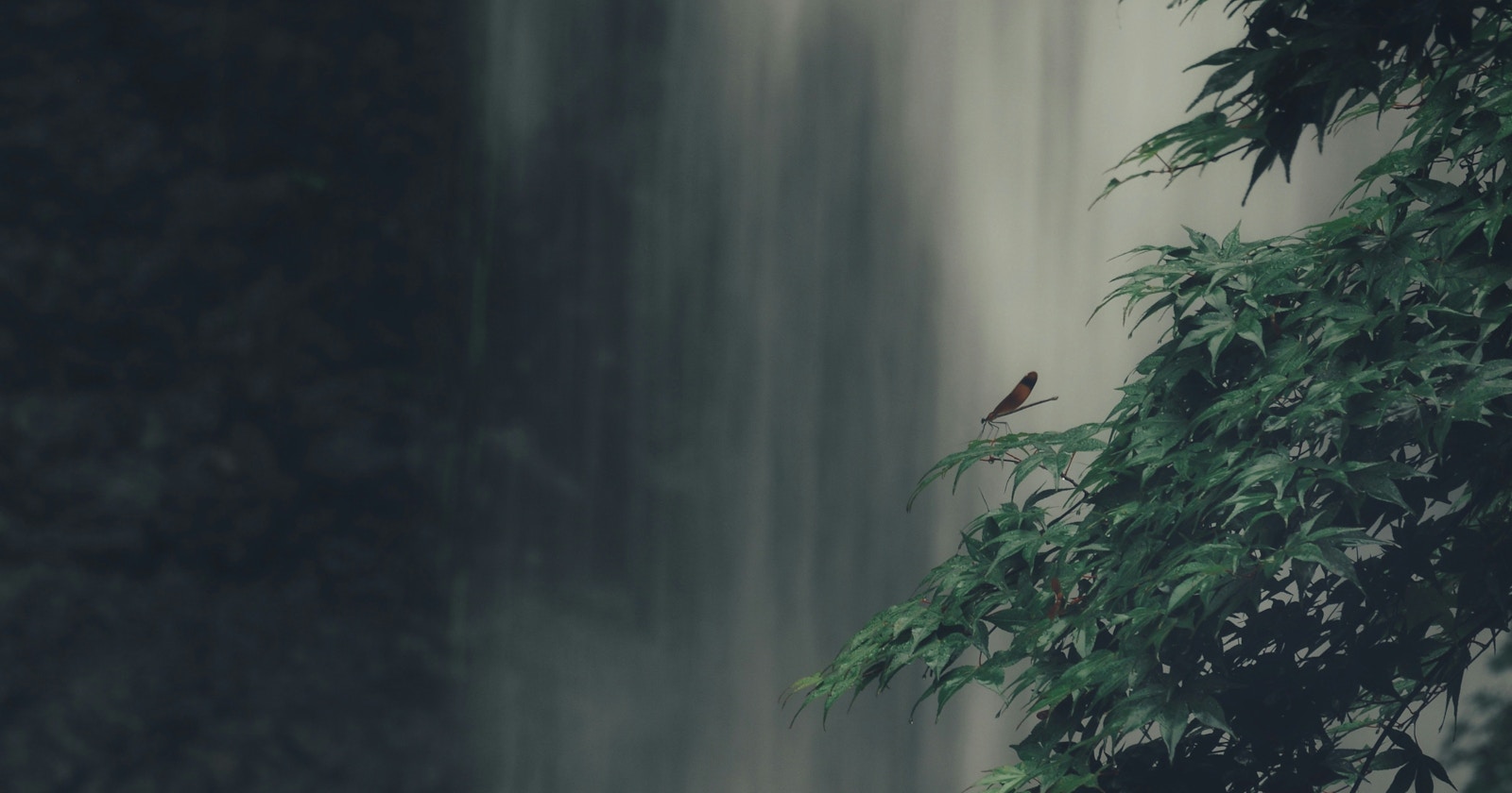 The Order of Photo Editing Can Transform Your Work: Basics of Editing Workflow | Knowledge #280