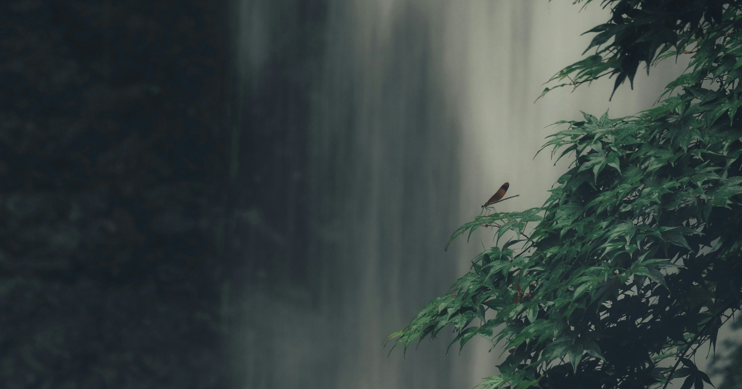 The Order of Photo Editing Can Transform Your Work: Basics of Editing Workflow | Knowledge #280