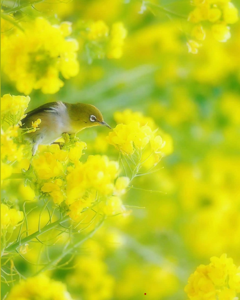 Image by takahirok0220