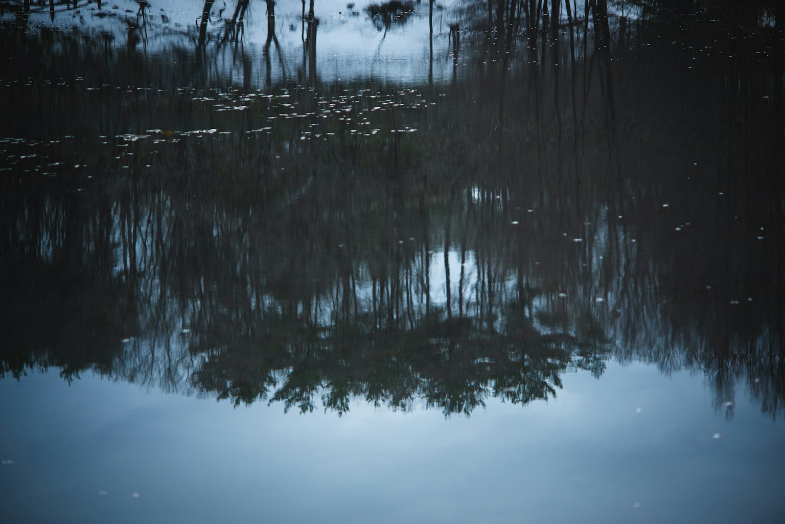 2024-06-reflection-photography-image-15