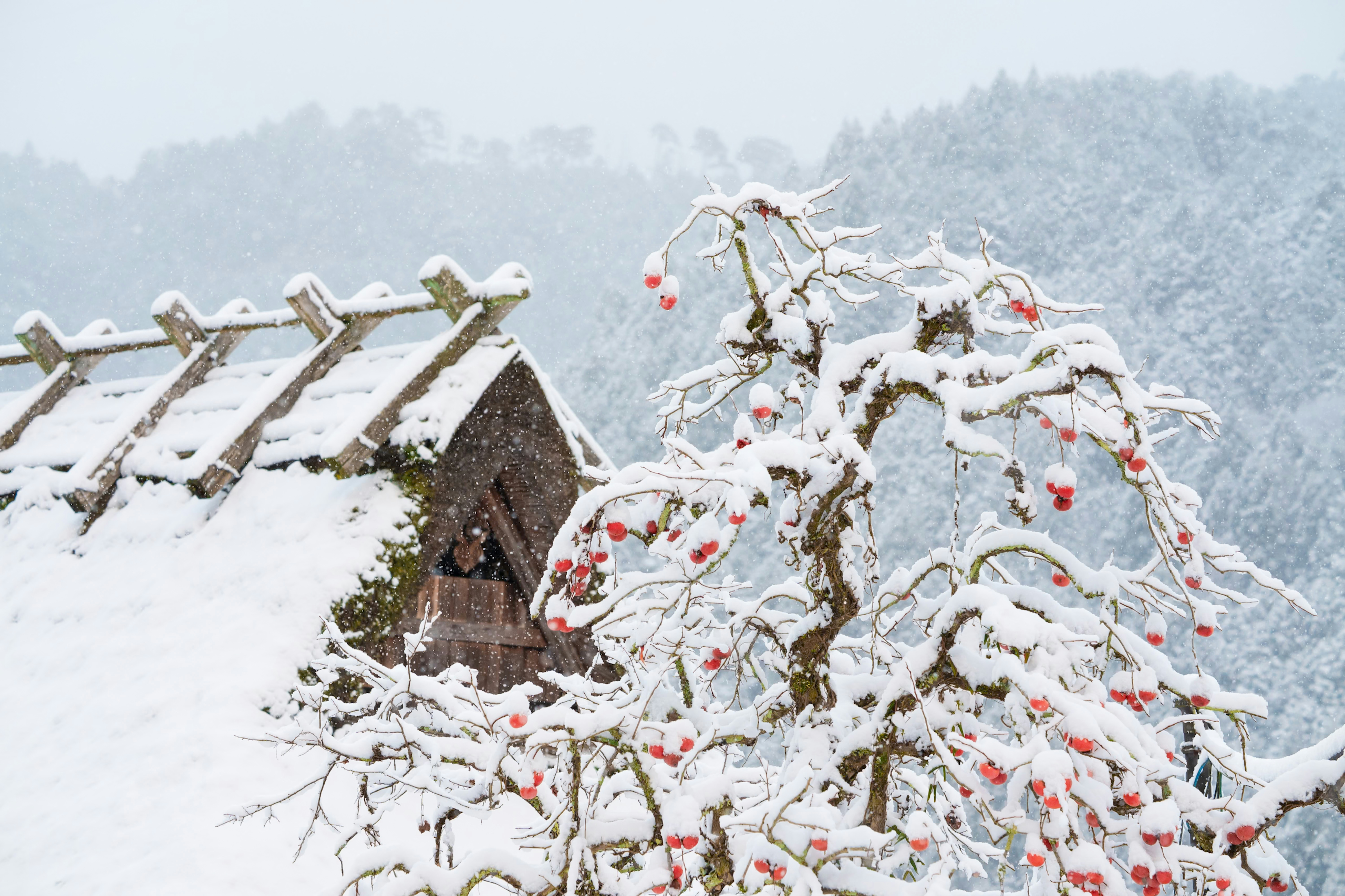 2026-01-pick-up-photos-no-279-283-cover-image