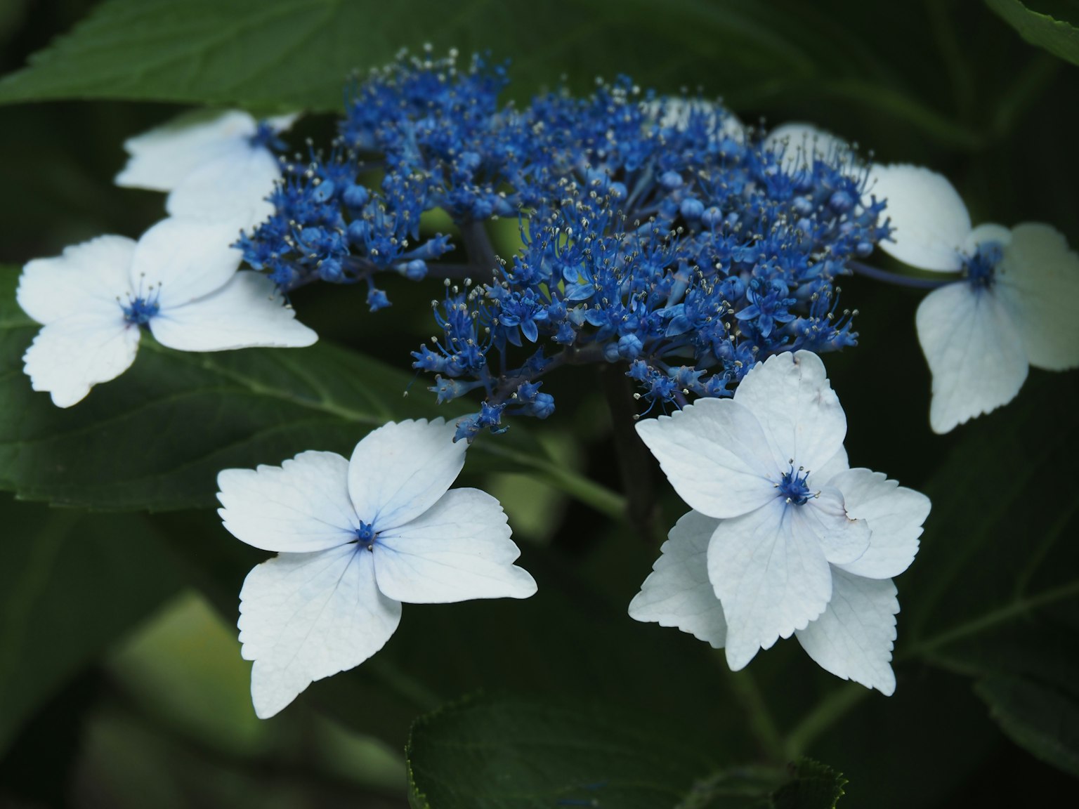 2024-06-june-diary-image-10