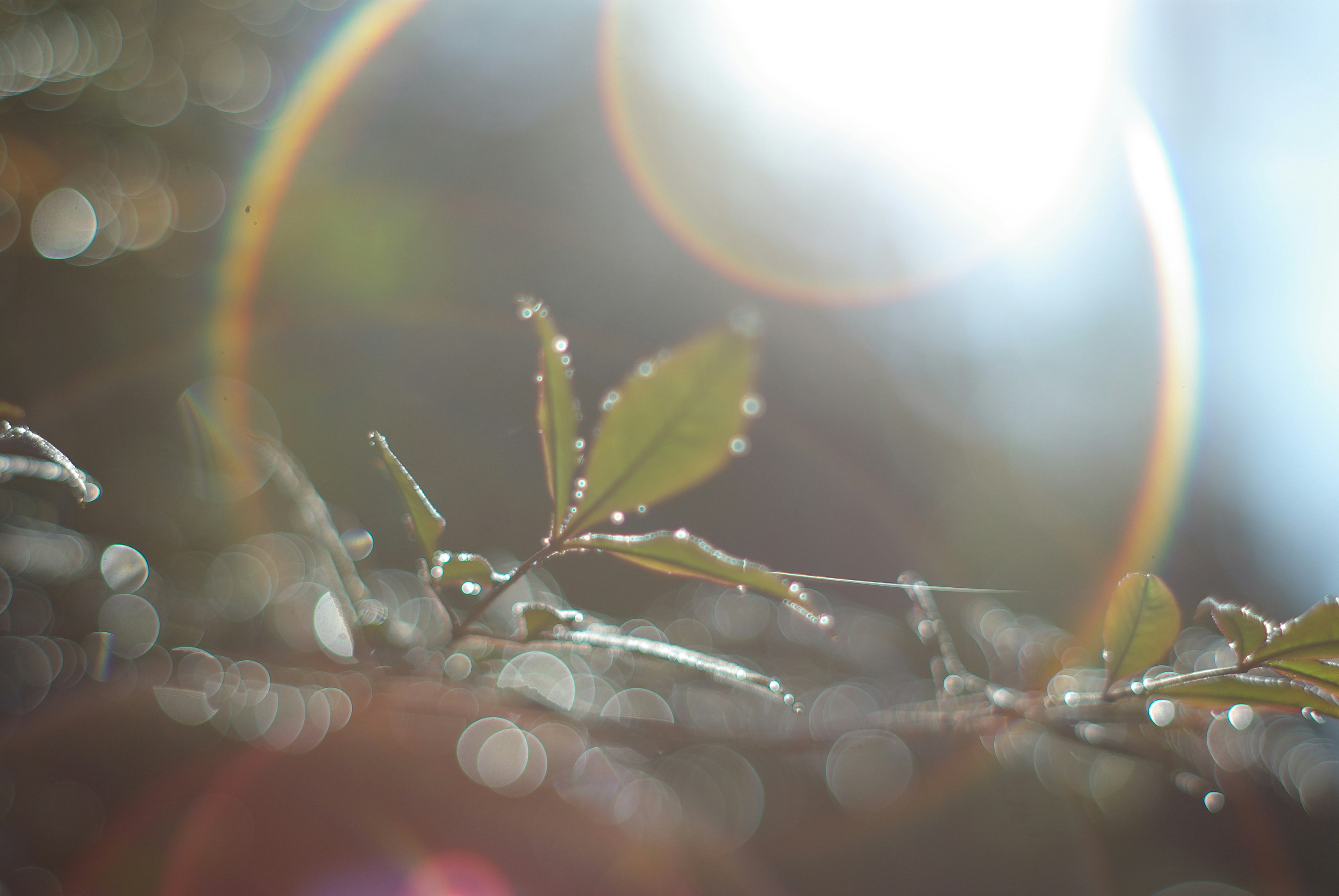 2025-12-backlight-report-cover-image