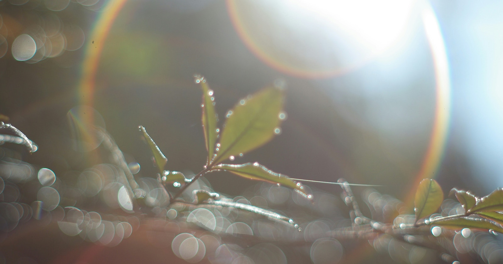 #Backlight | Creating Enchanting Spaces with Light | Focus #578