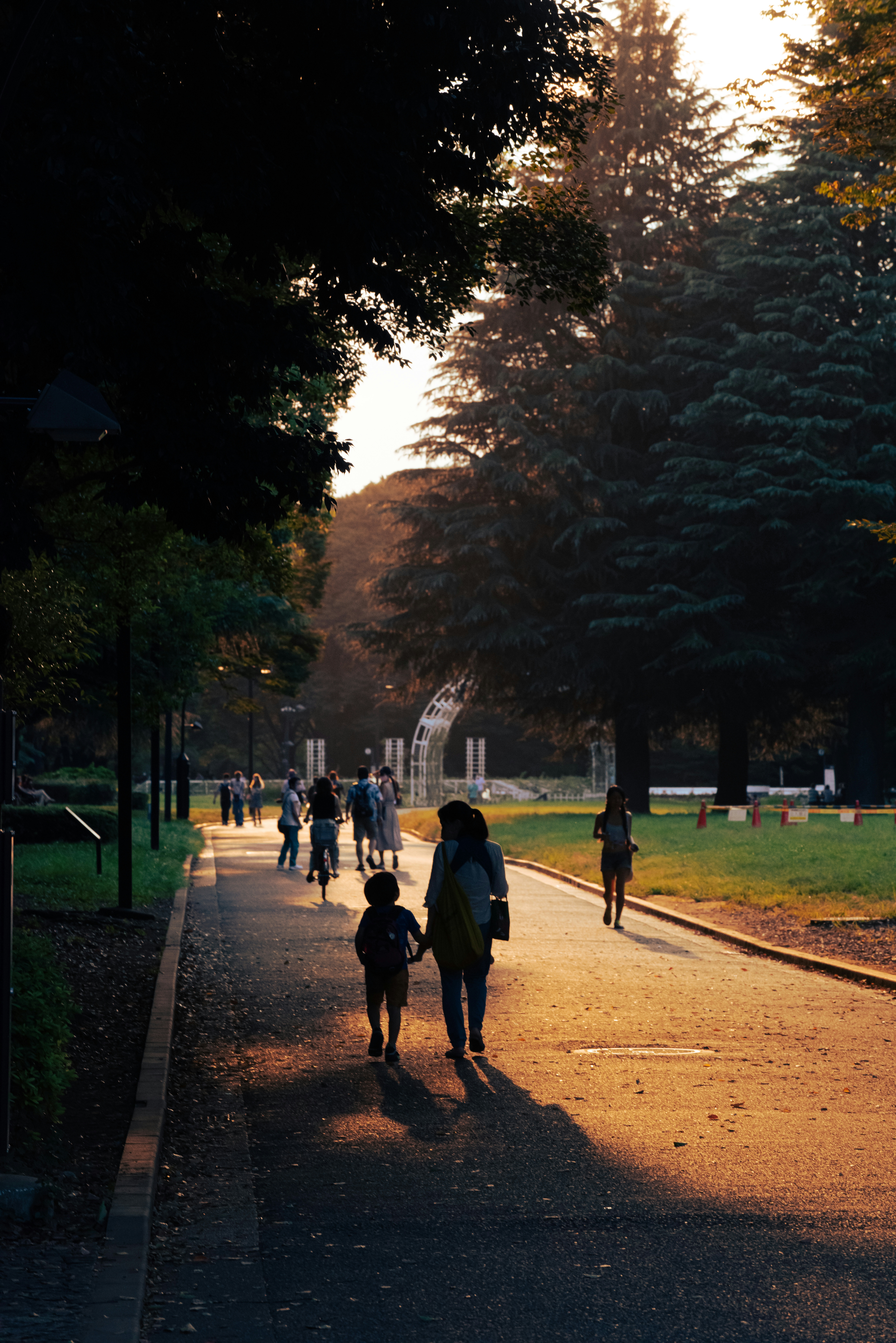 Photo by Shimakou