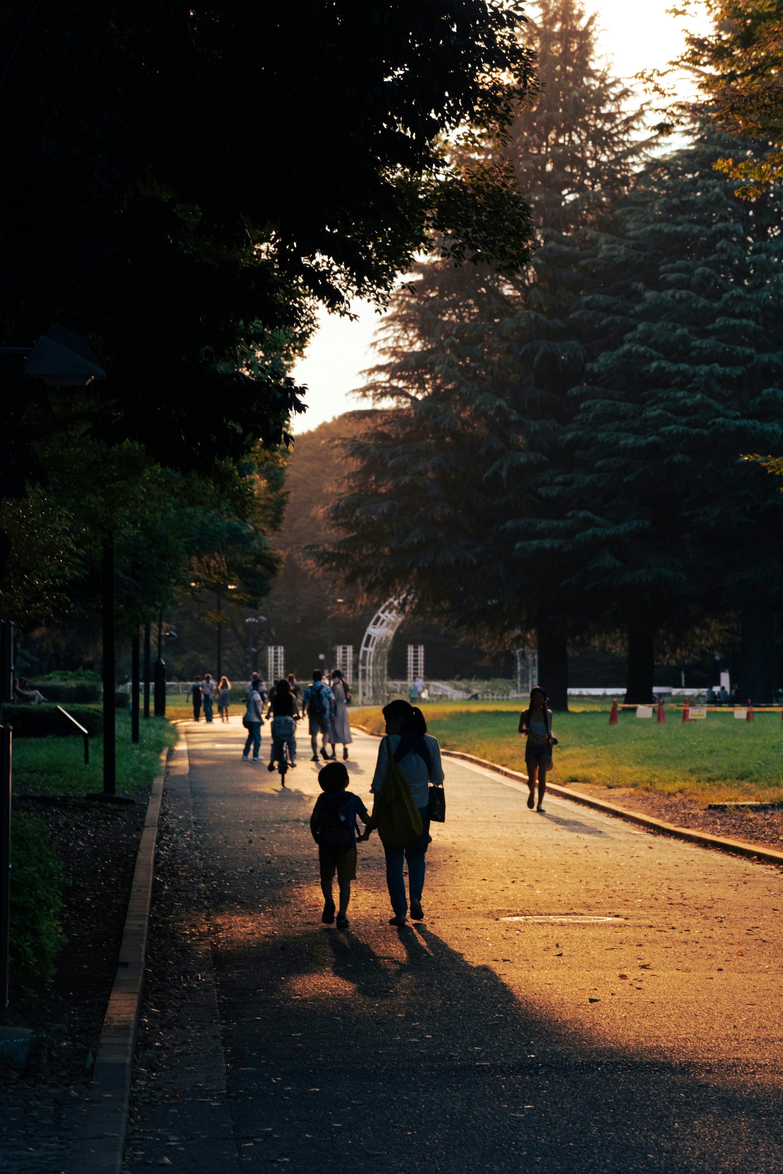 Photo by Shimakou