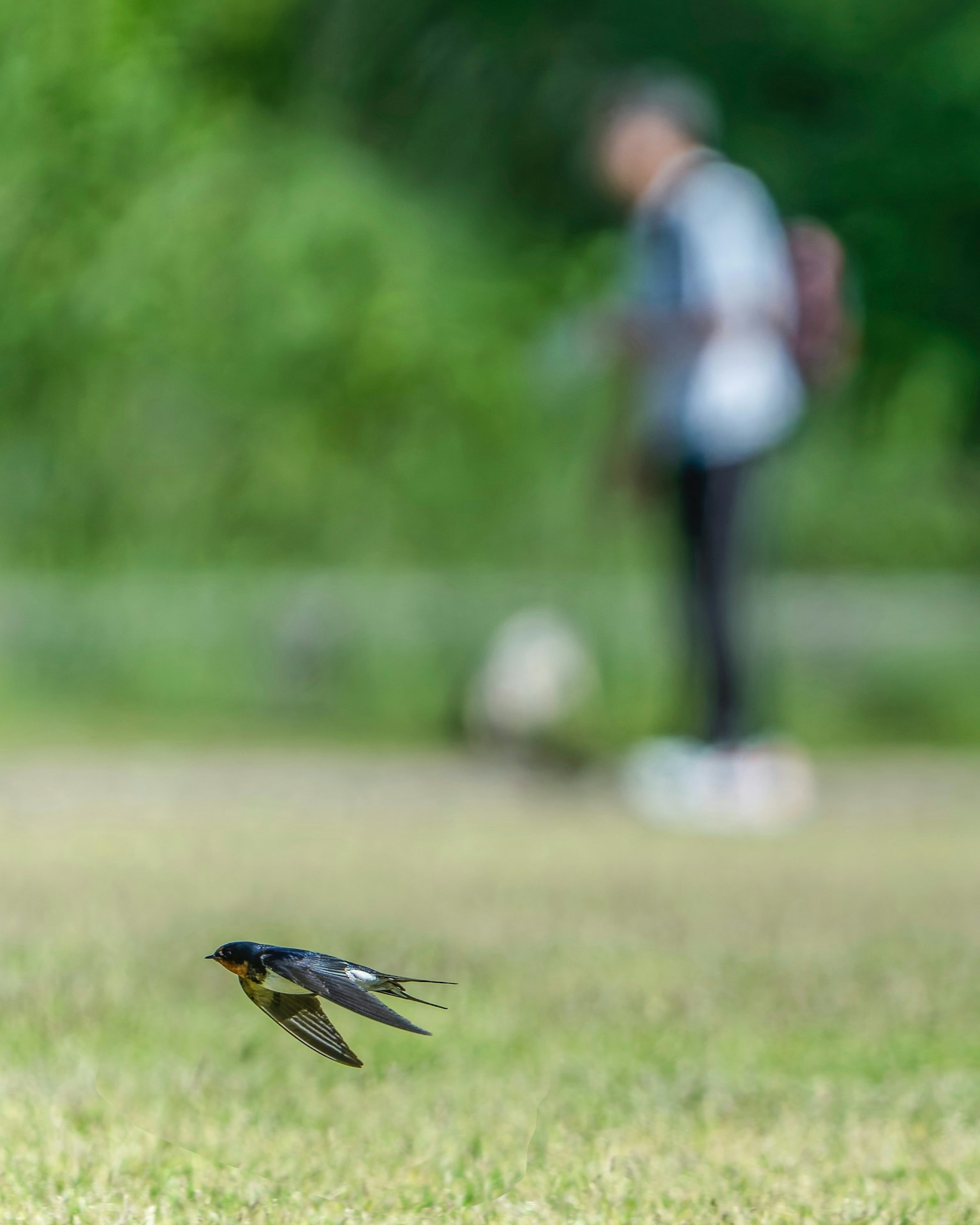 2025-02-hdr-shooting-tips-image-21