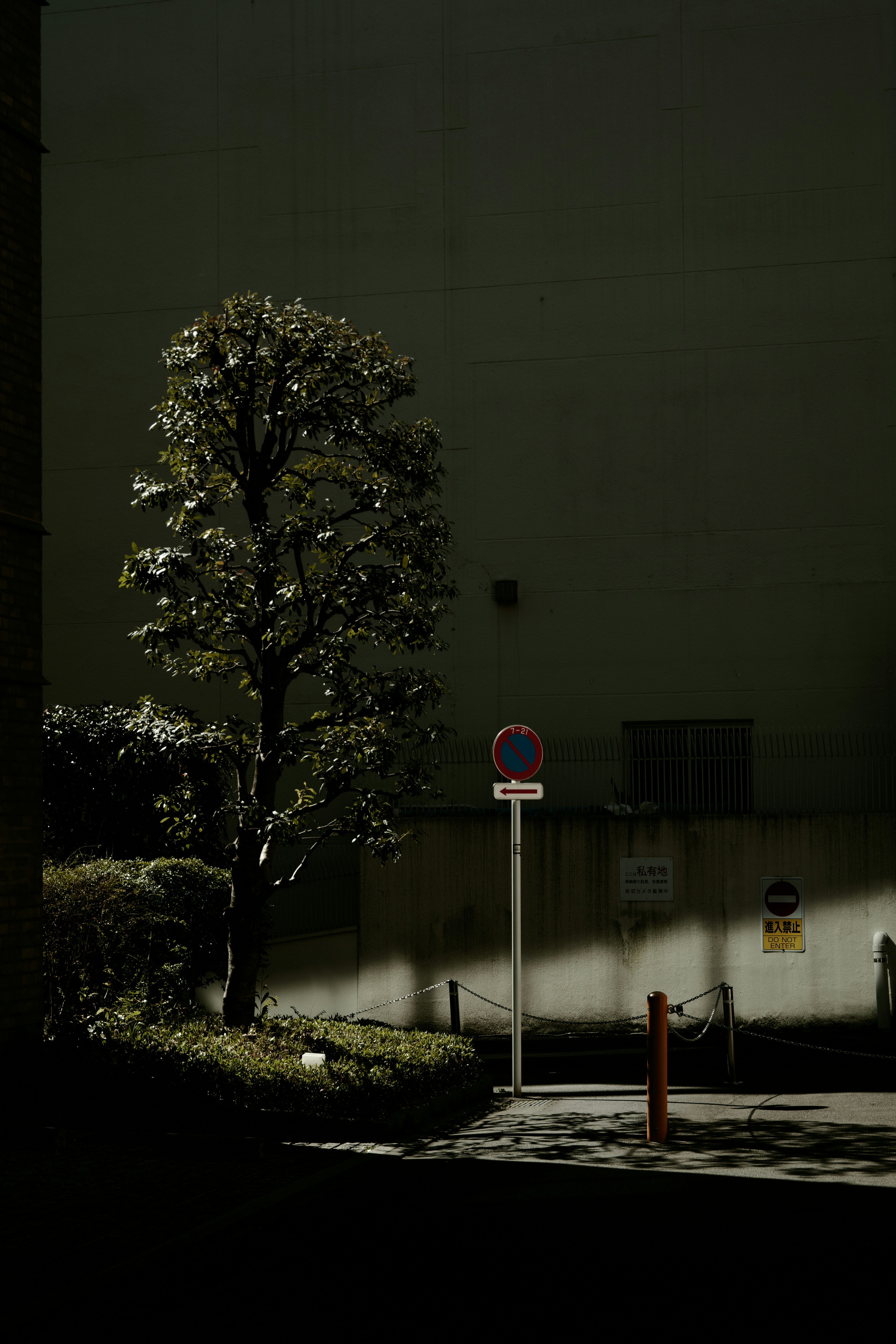 2026-08-silence-image-4