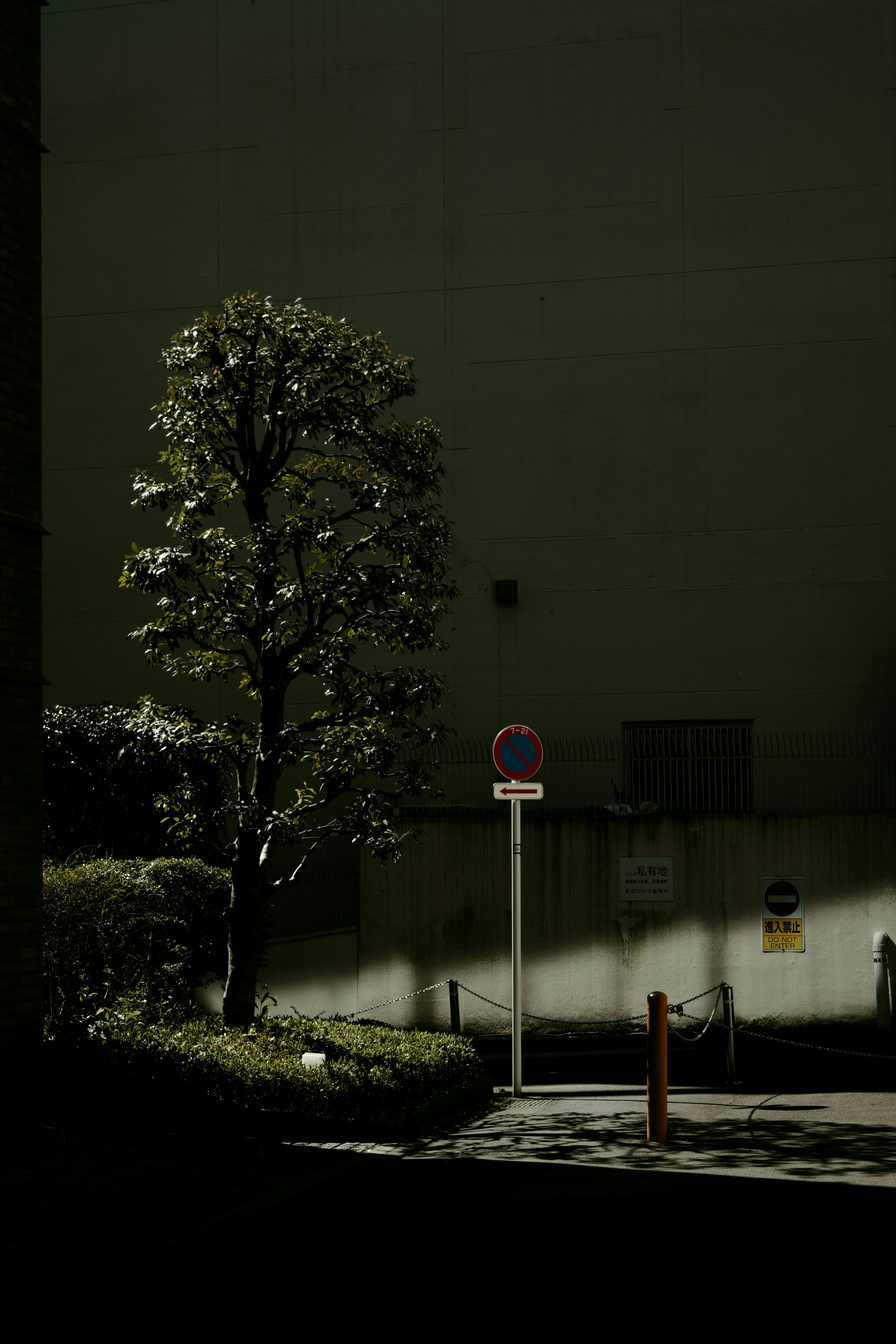 2026-08-silence-image-4