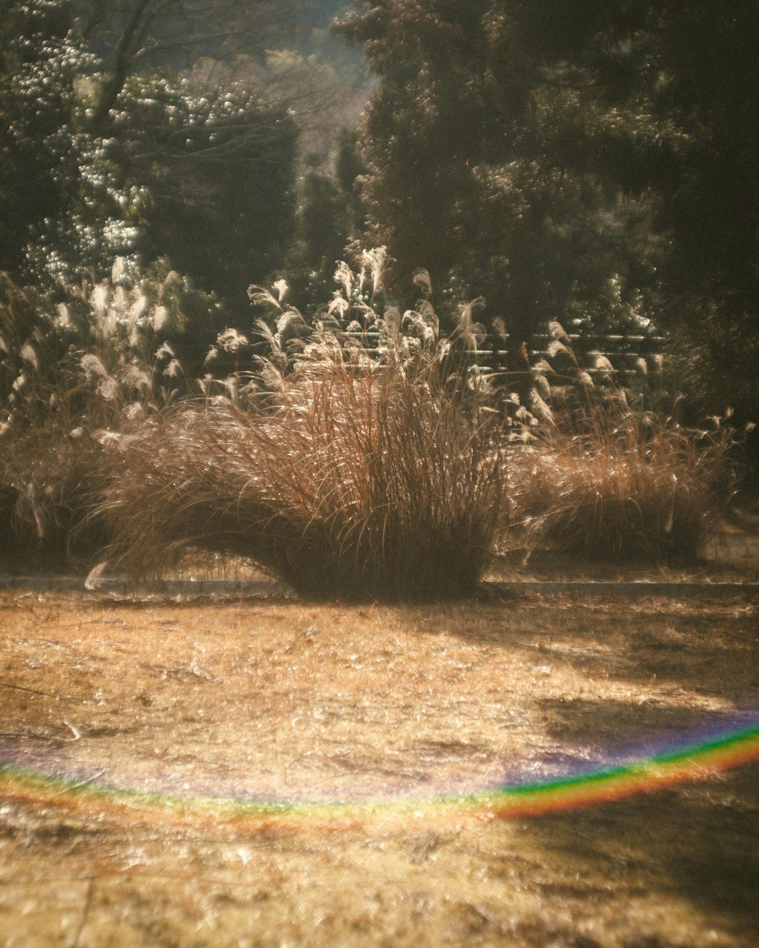 2025-03-tks-leica-summarit-50mm-memories-image-15