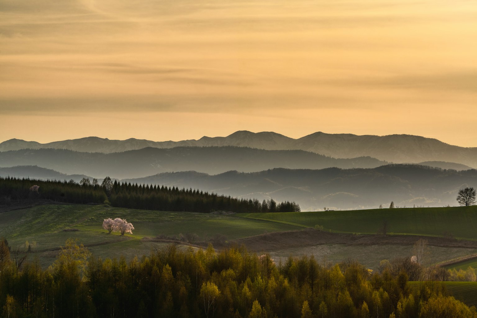 2024-06-spring-landscape-award-image-11