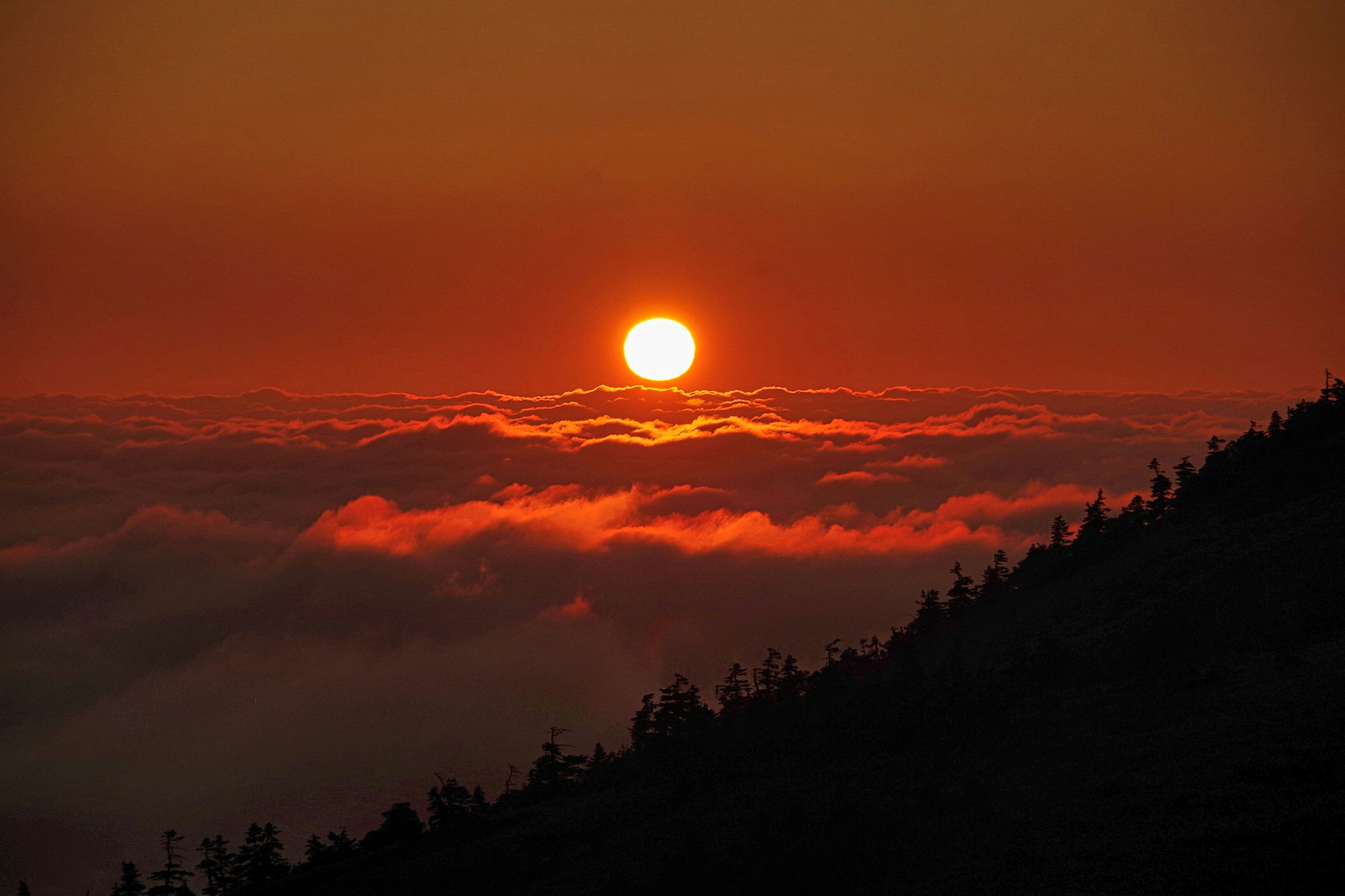 2025-10-autumn-light-weather-patience-cover-image