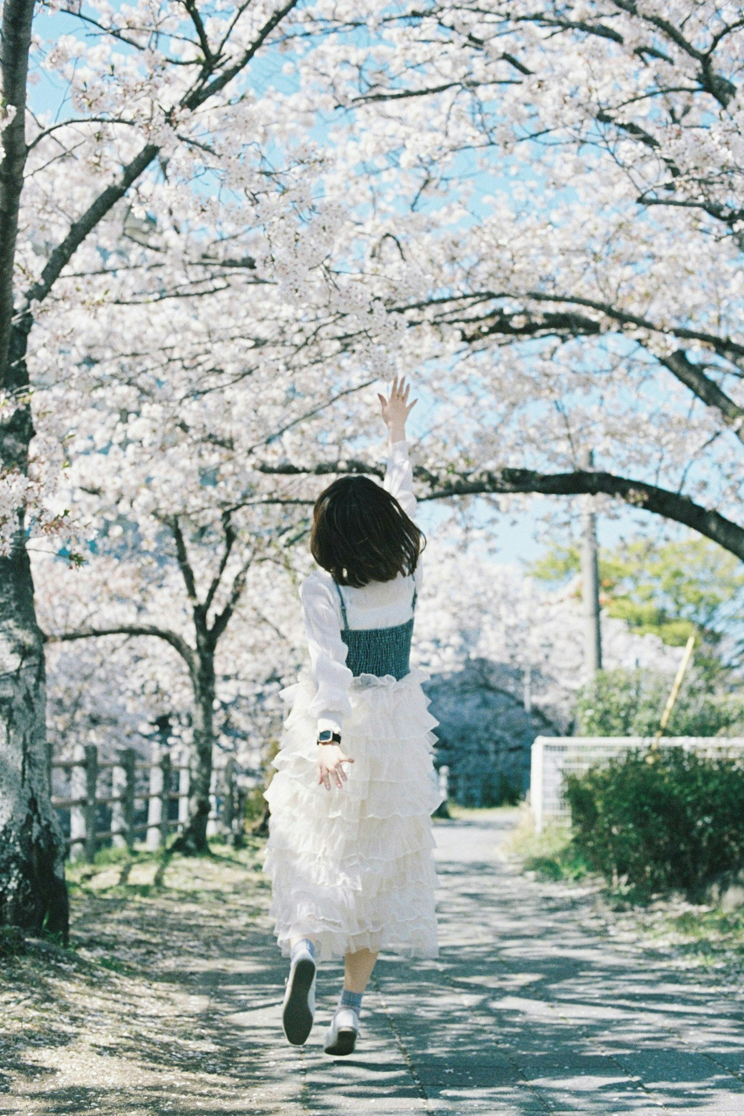 2025-04-pick-up-photos-no-94-98-image-9