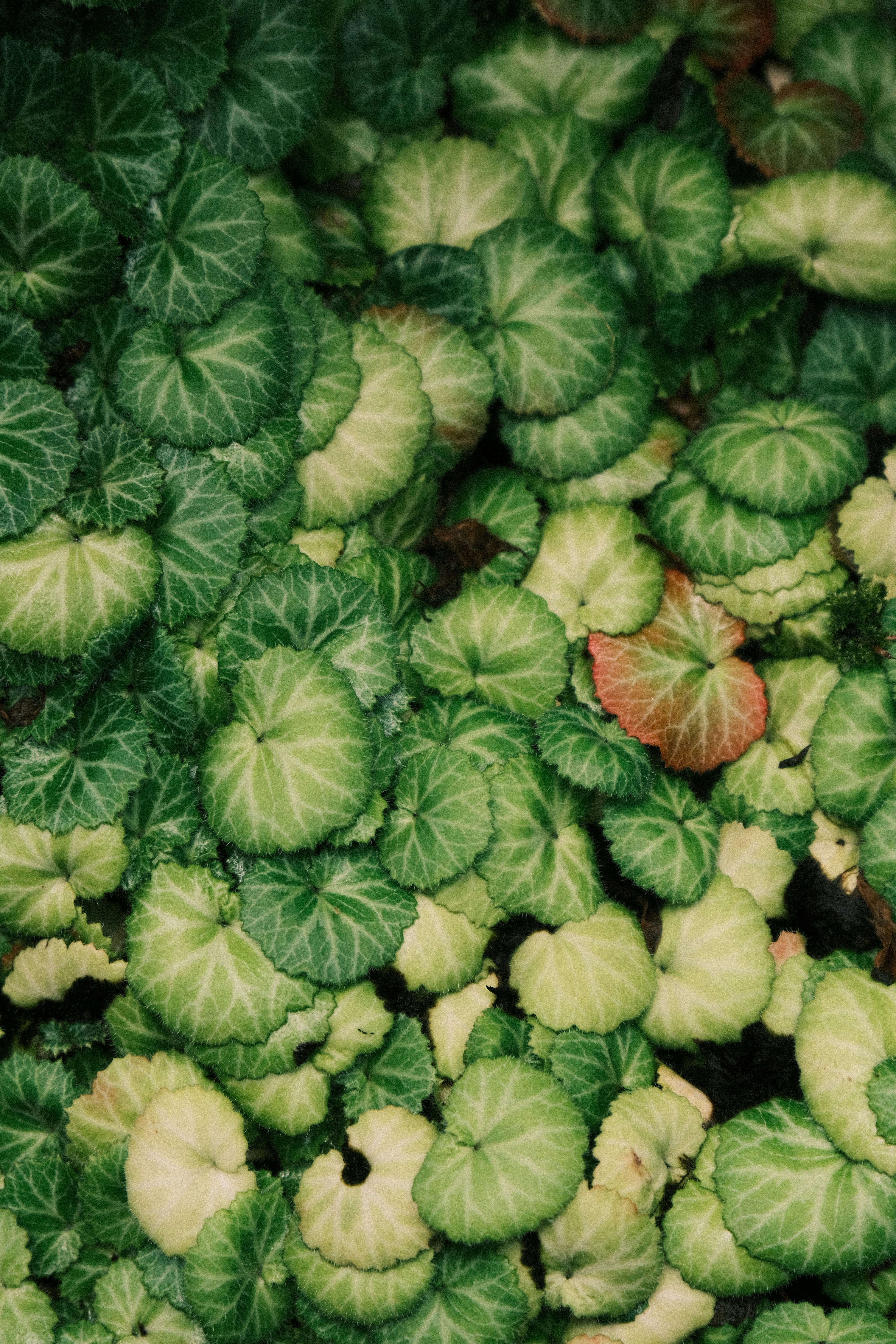 2026-07-green-hours-award-image-10