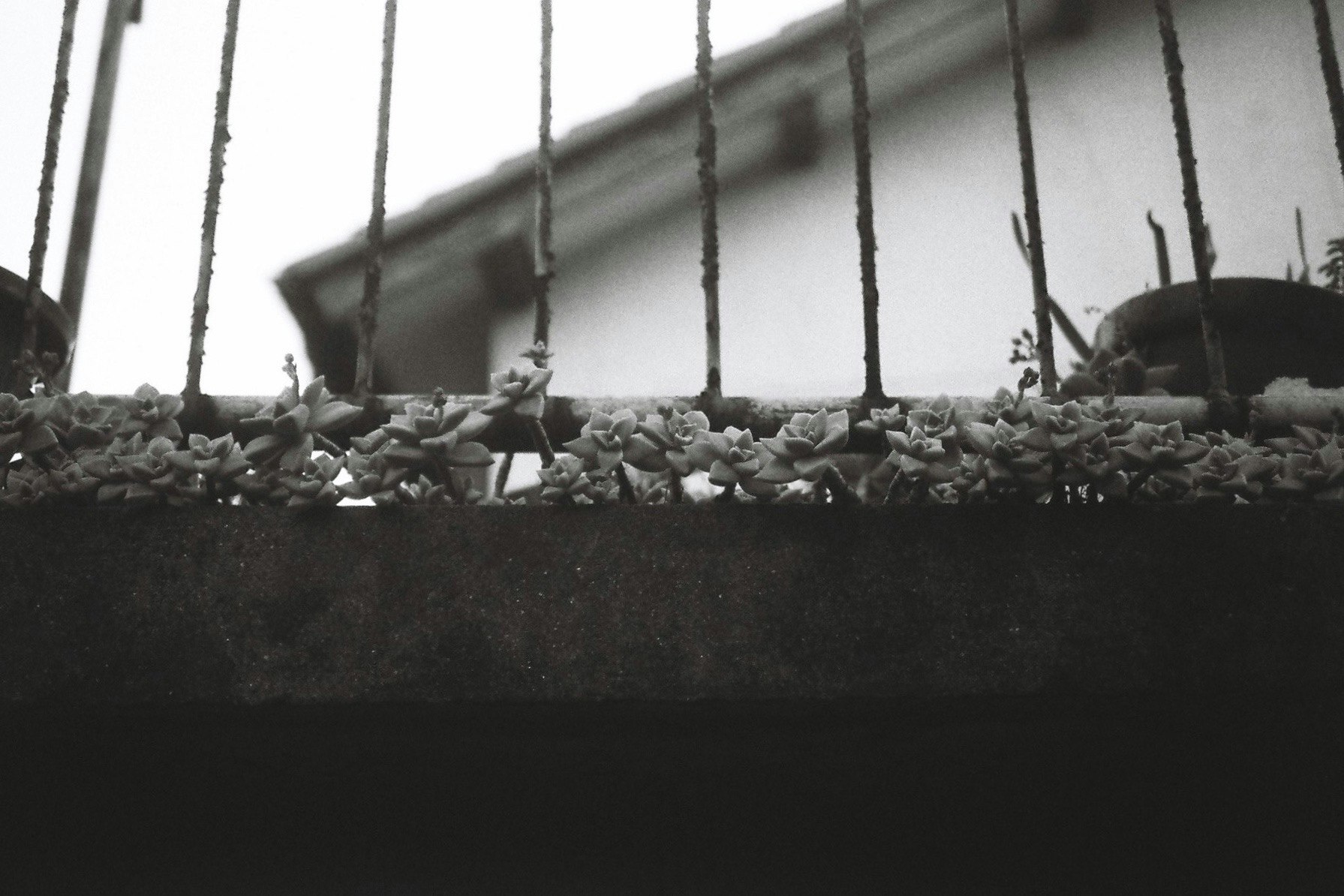 2025-11-roadside-story-award-cover-image