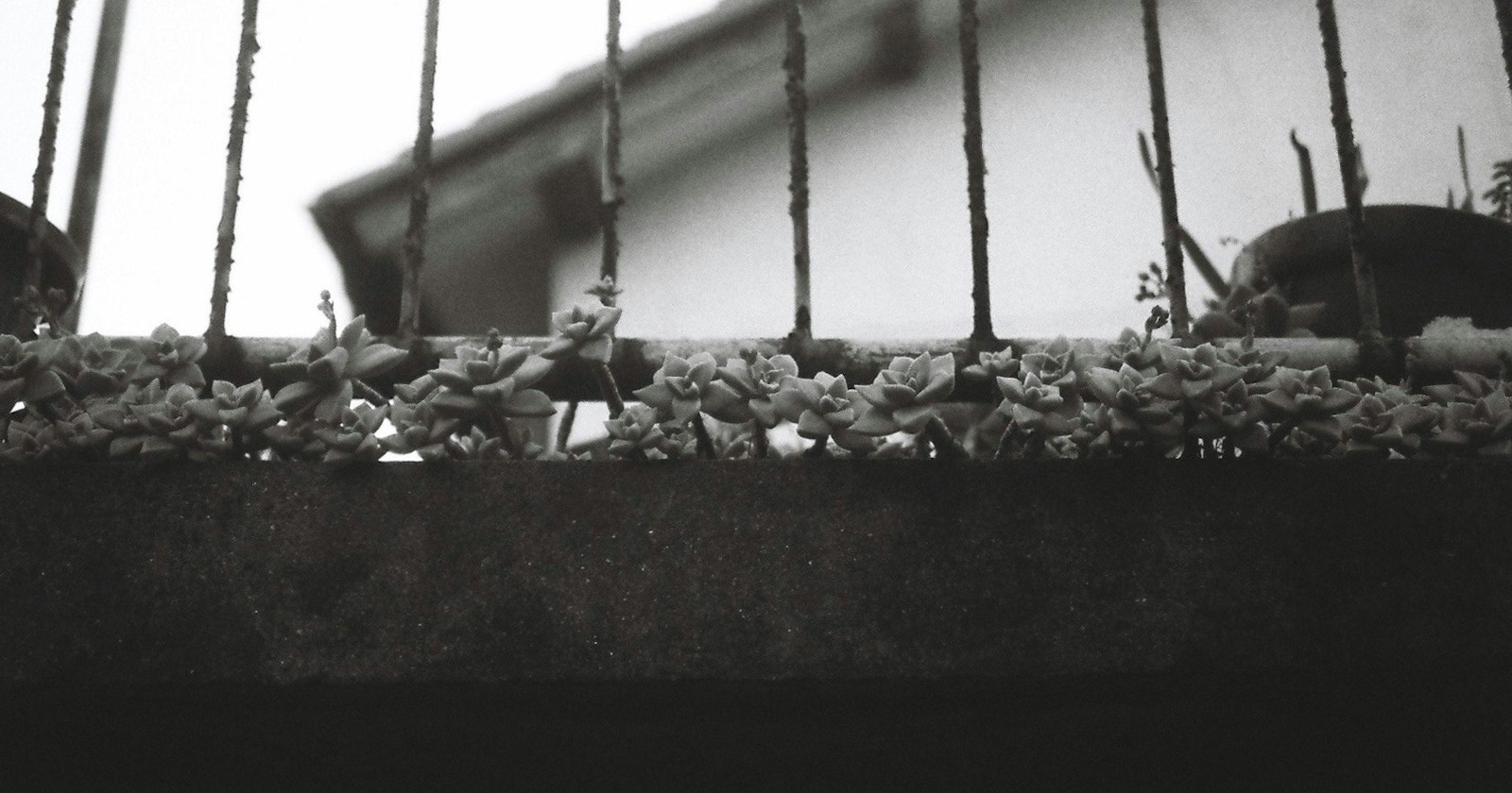 cizucu Hosts 'Roadside Story' Award Announcement | Challenge #294