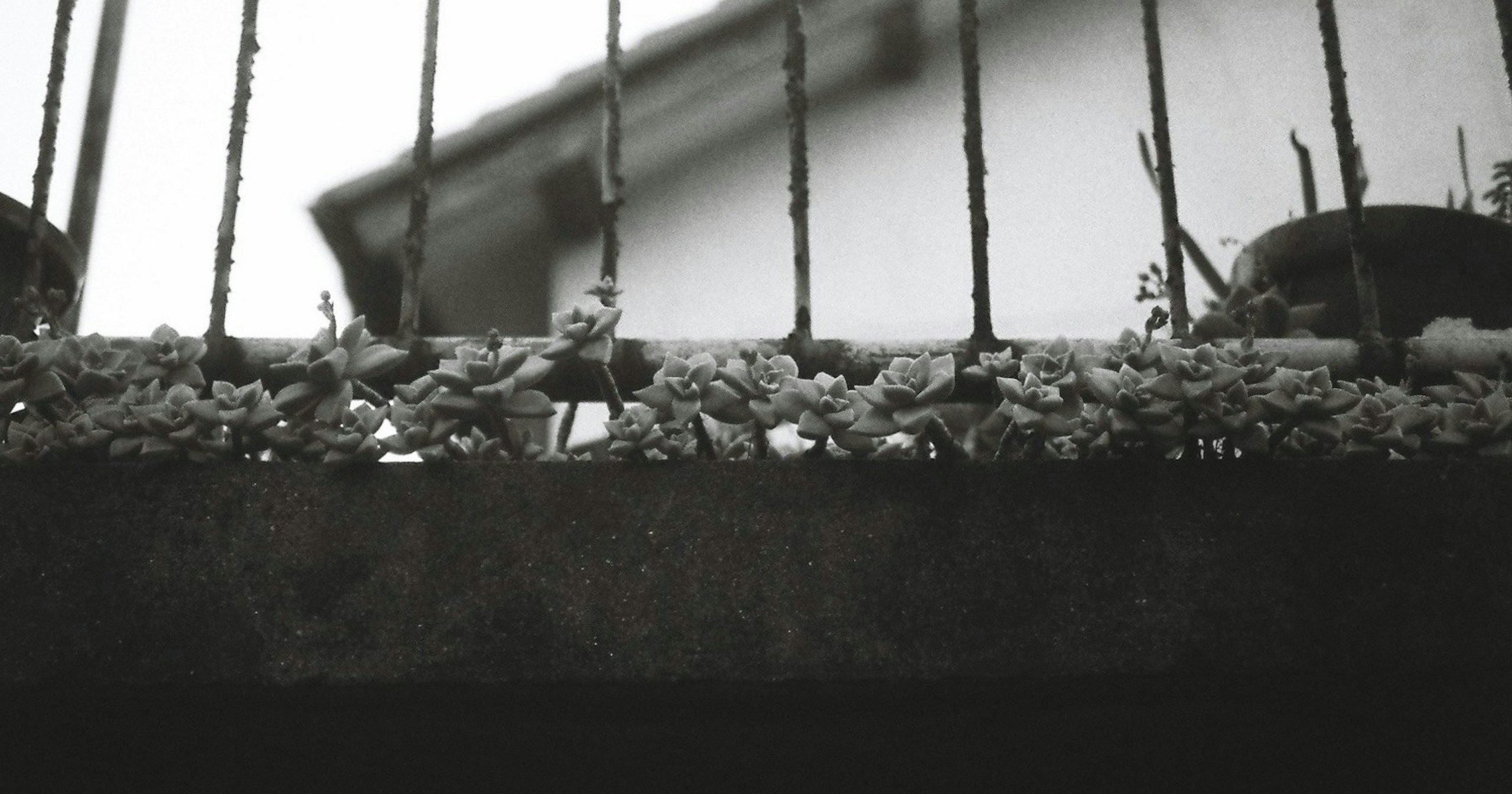 cizucu Hosts 'Roadside Story' Award Announcement | Challenge #294