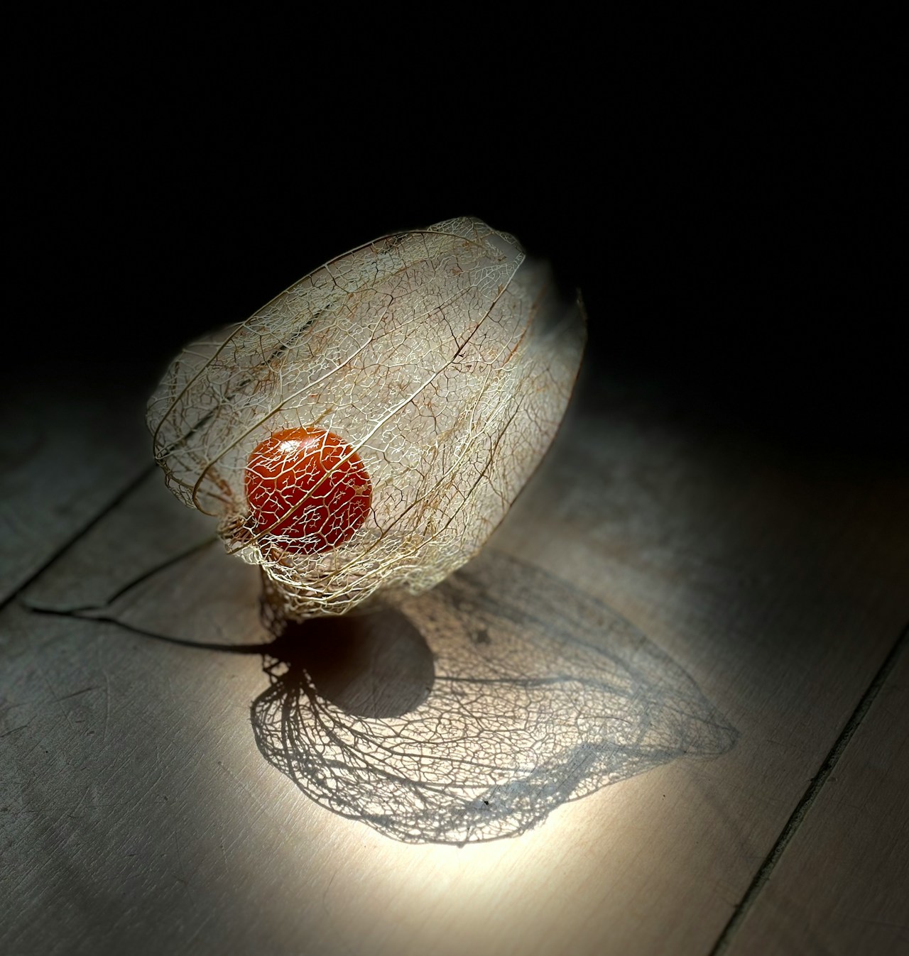 Photo by つくしとメイ