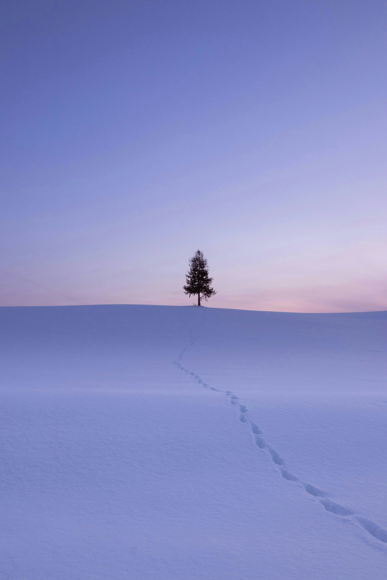 Photo by Hiroe Kato