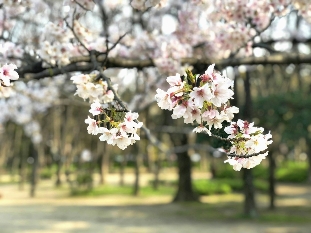 Image by ma_im