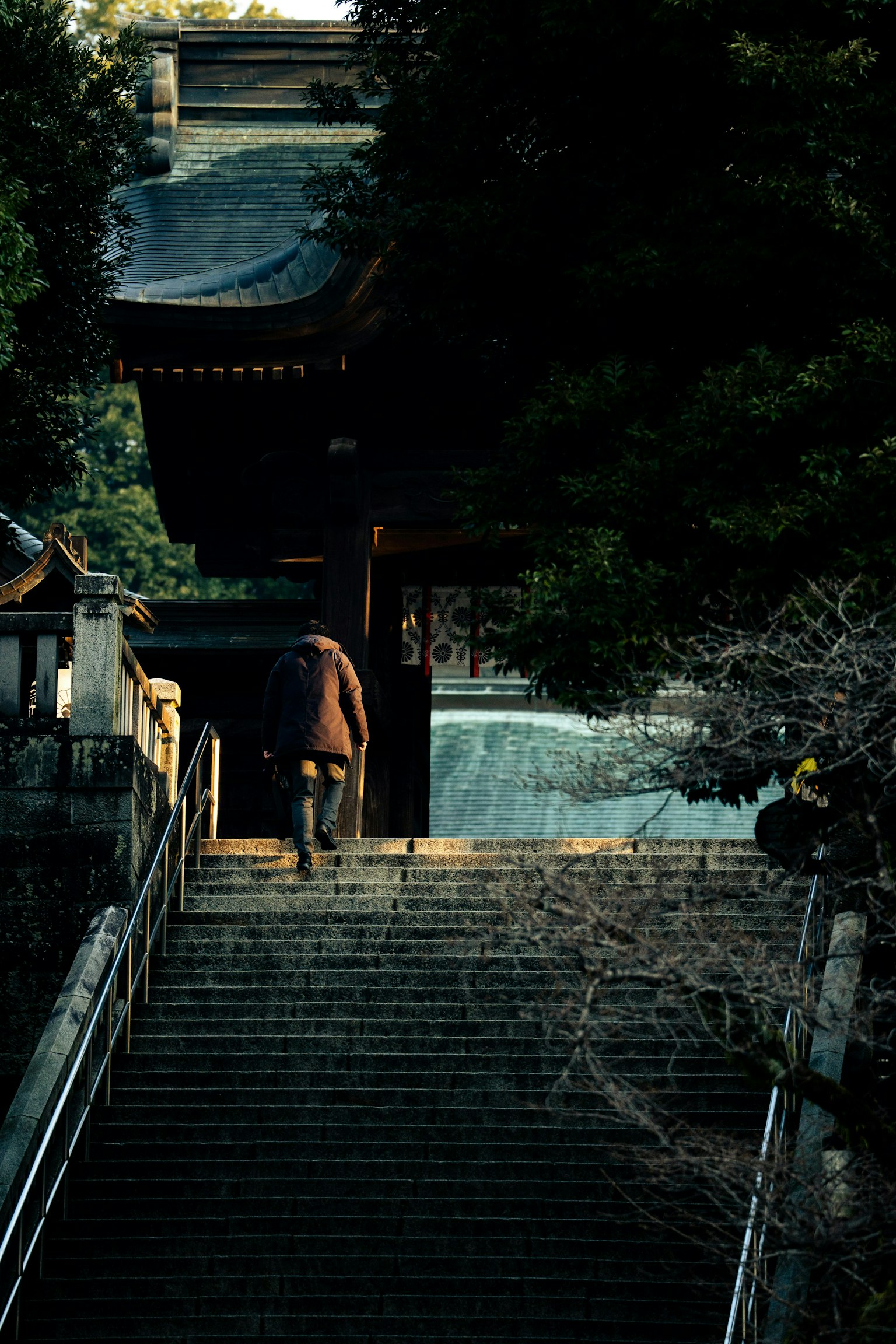 2025-07-creator-honesty-sensitivity-image-6