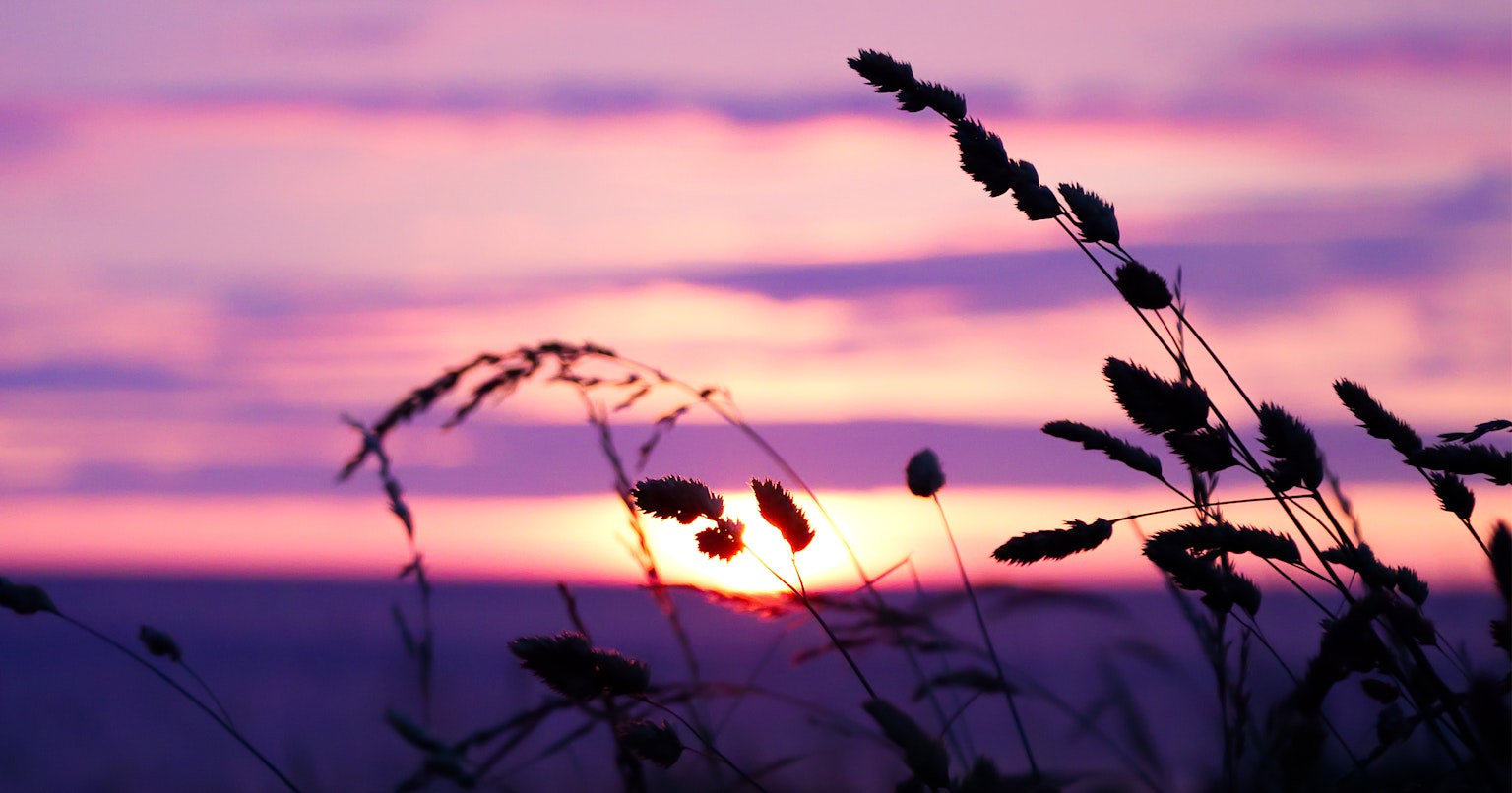 2024-04-canon-finds-new-position-cover-image