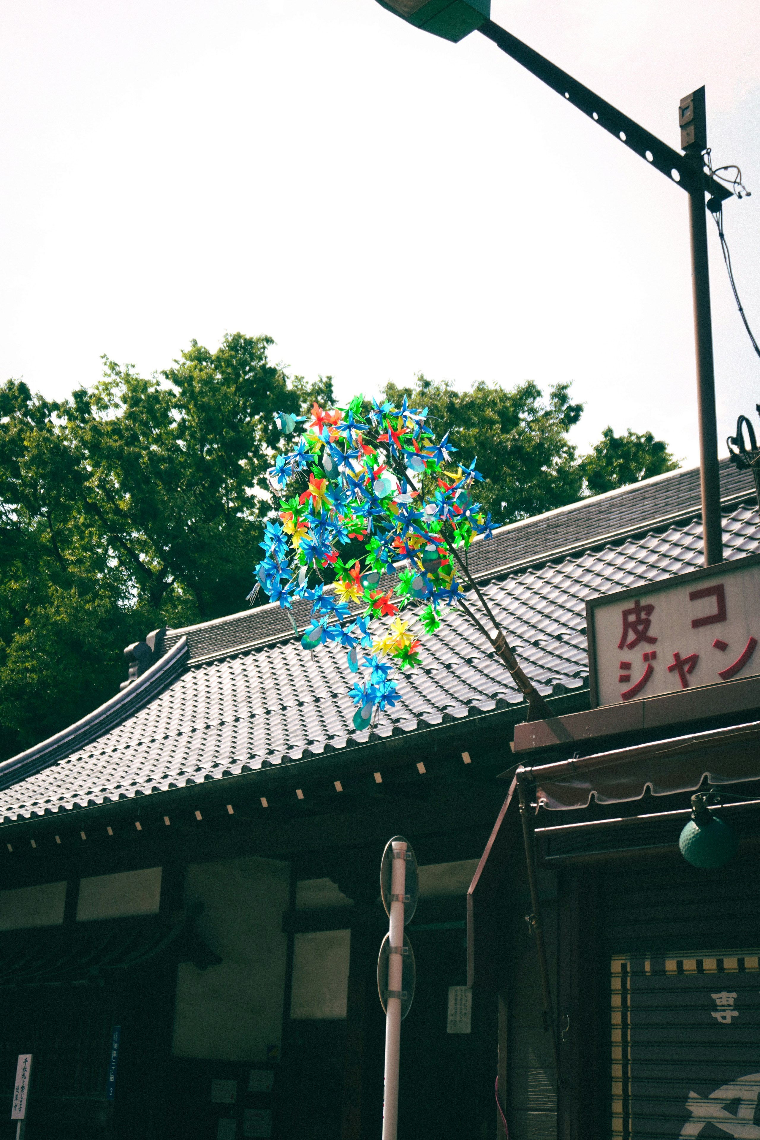 Photo by Flower