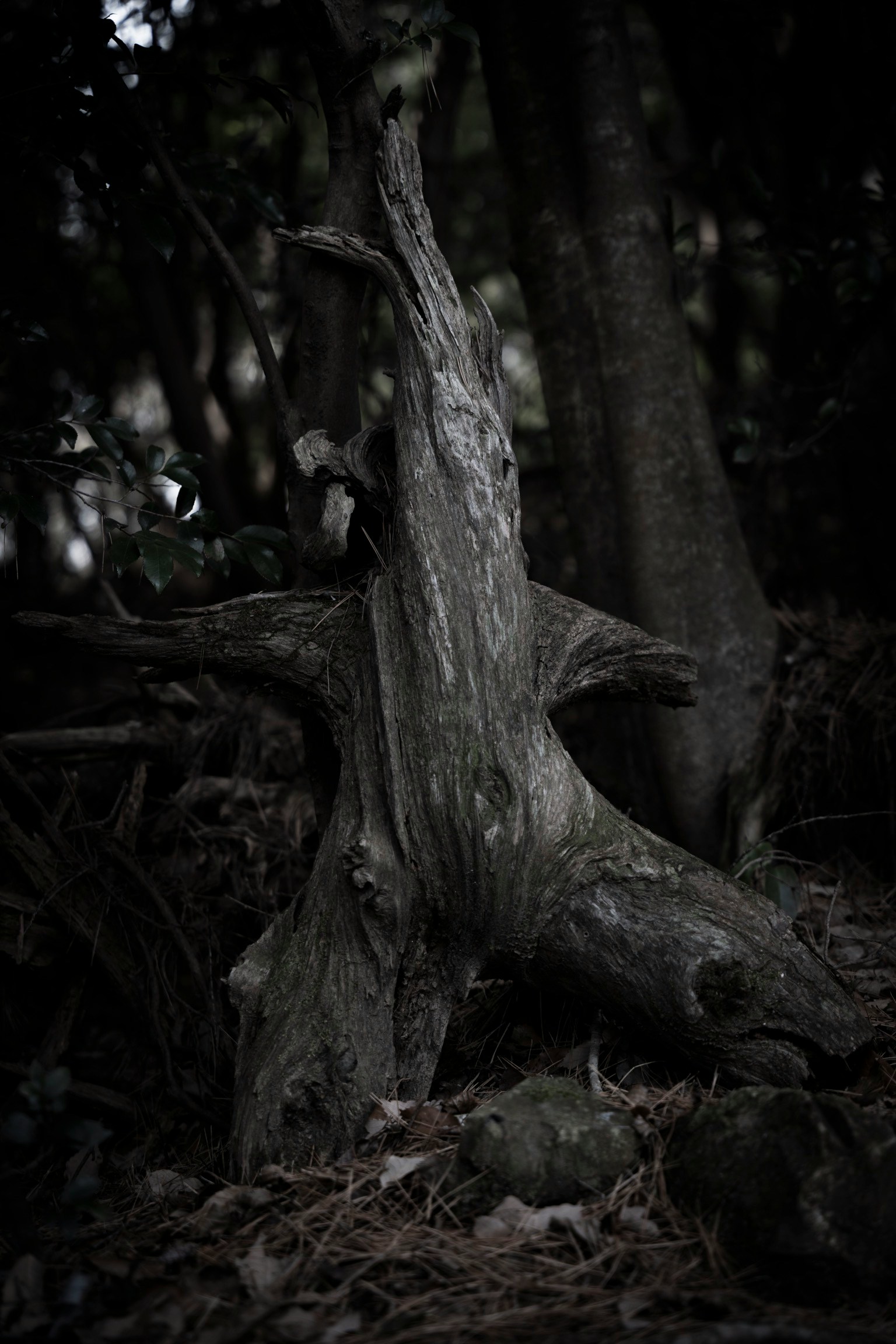 2024-06-mountain-mystery-award-image-12