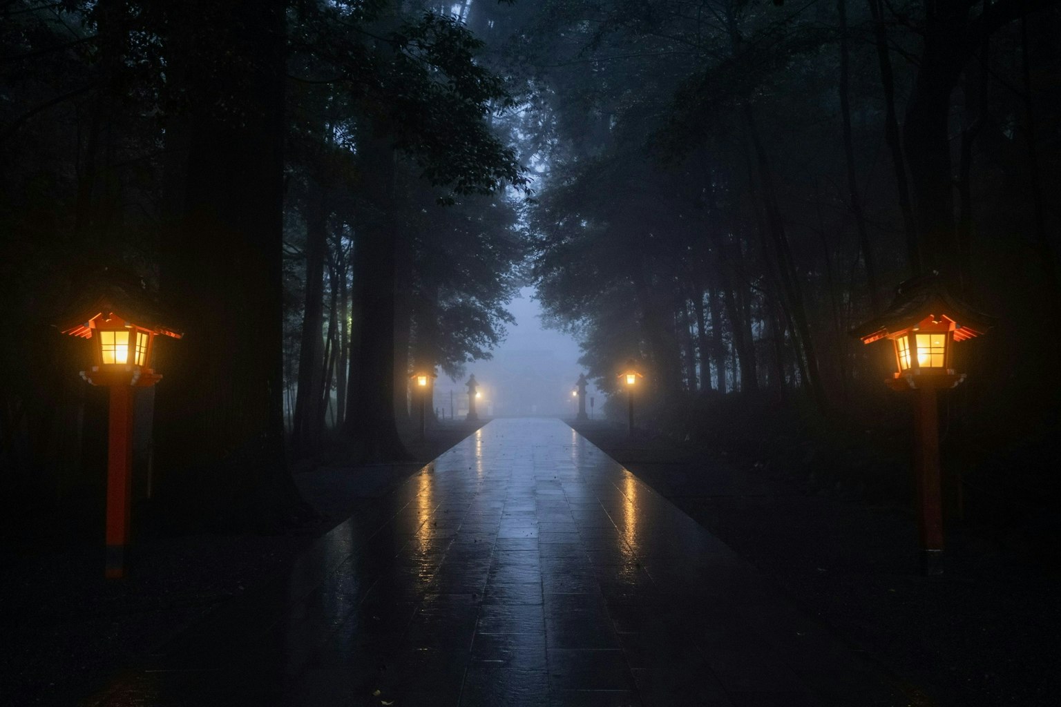 2025-01-timeless-field-award-image-12