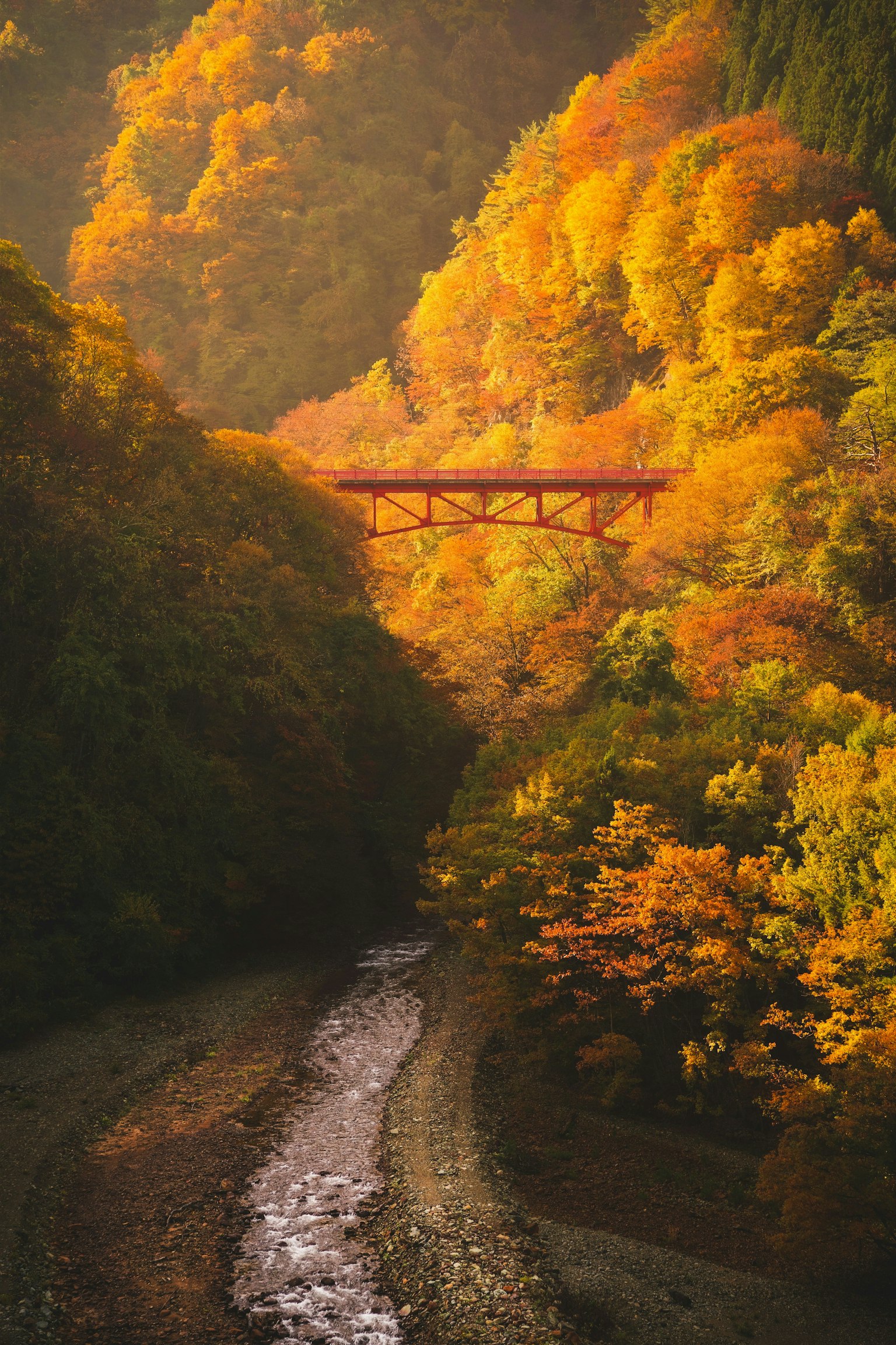 2025-10-spotlight-takahashikouei-bacchi-yuya-image-6