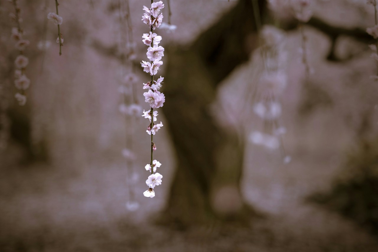 Image by hide