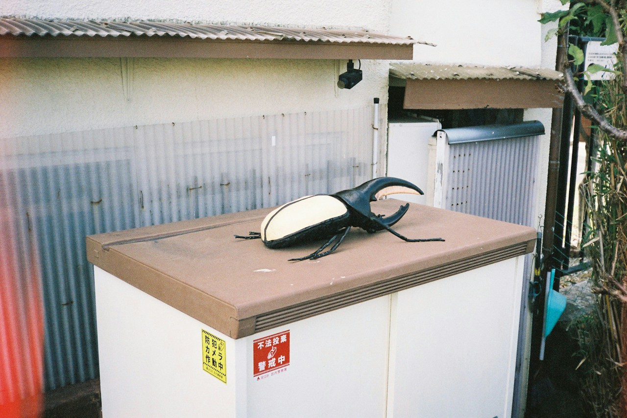 Image by usubafilm